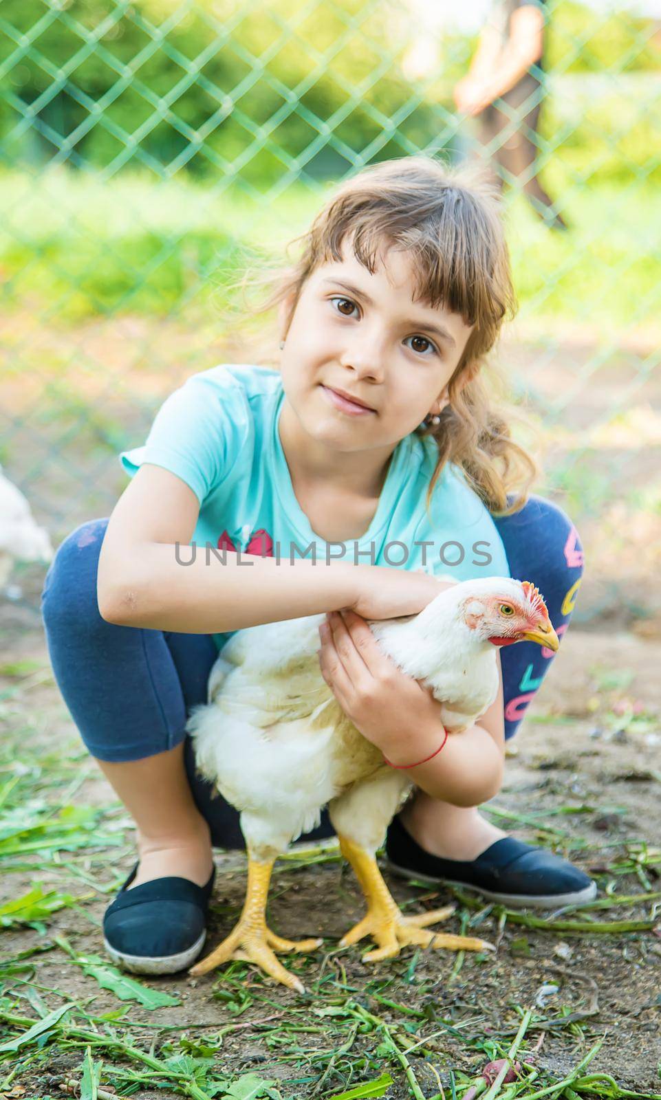 Bio chickens on a home farm a children. nature.