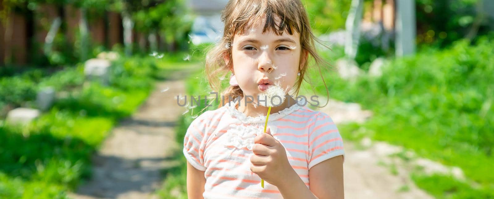 girl blowing dandelions in the air. selective focus.