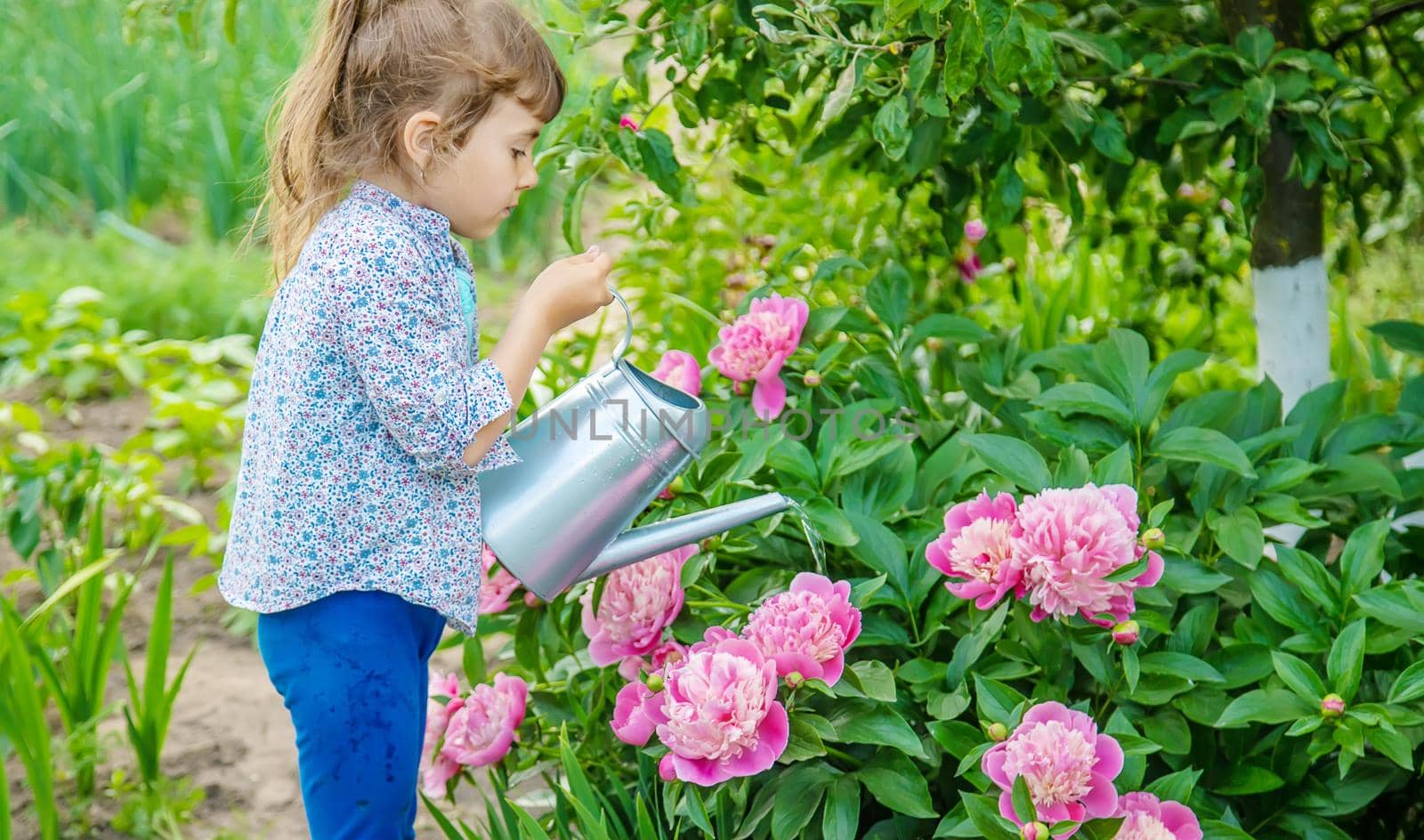 child watering flowers in the garden. Selective focus.