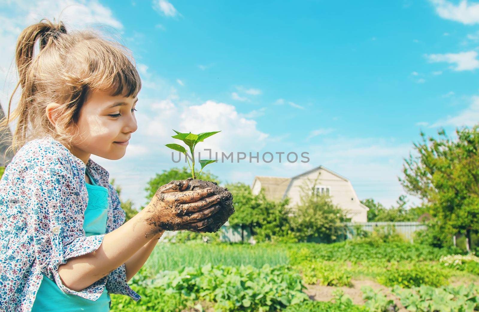 child plants and watering plants in the garden. Selective focus.