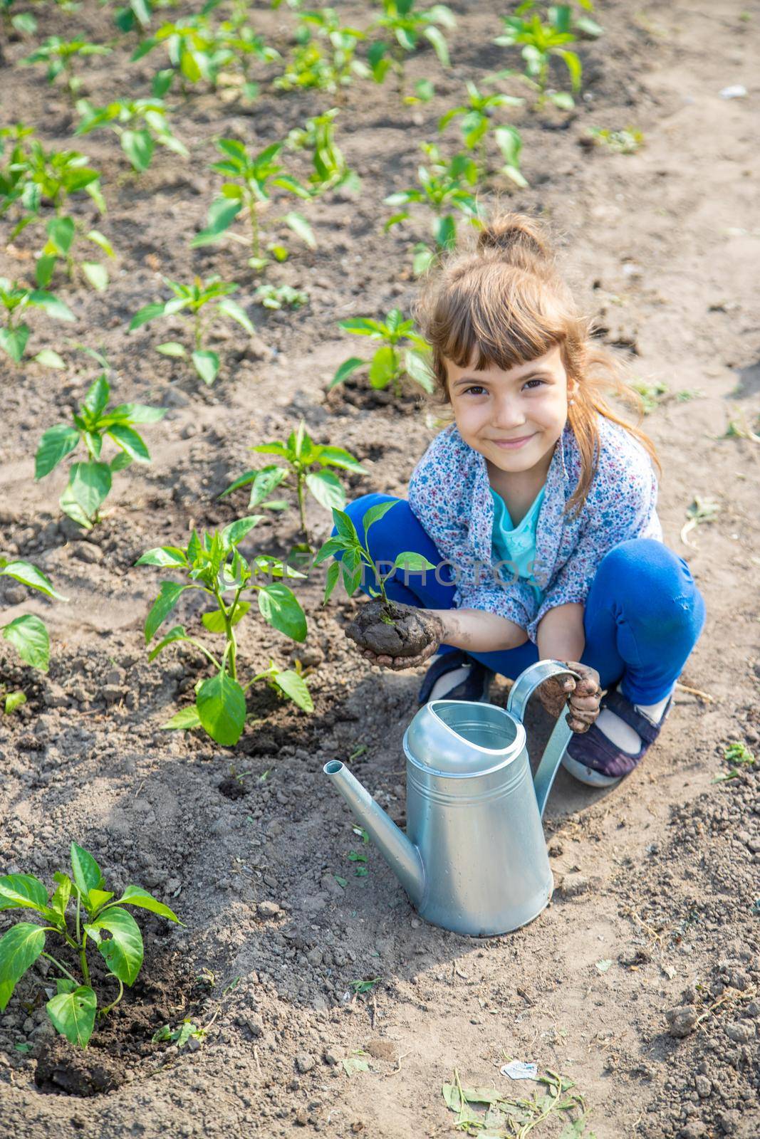 child plants and watering plants in the garden. Selective focus.