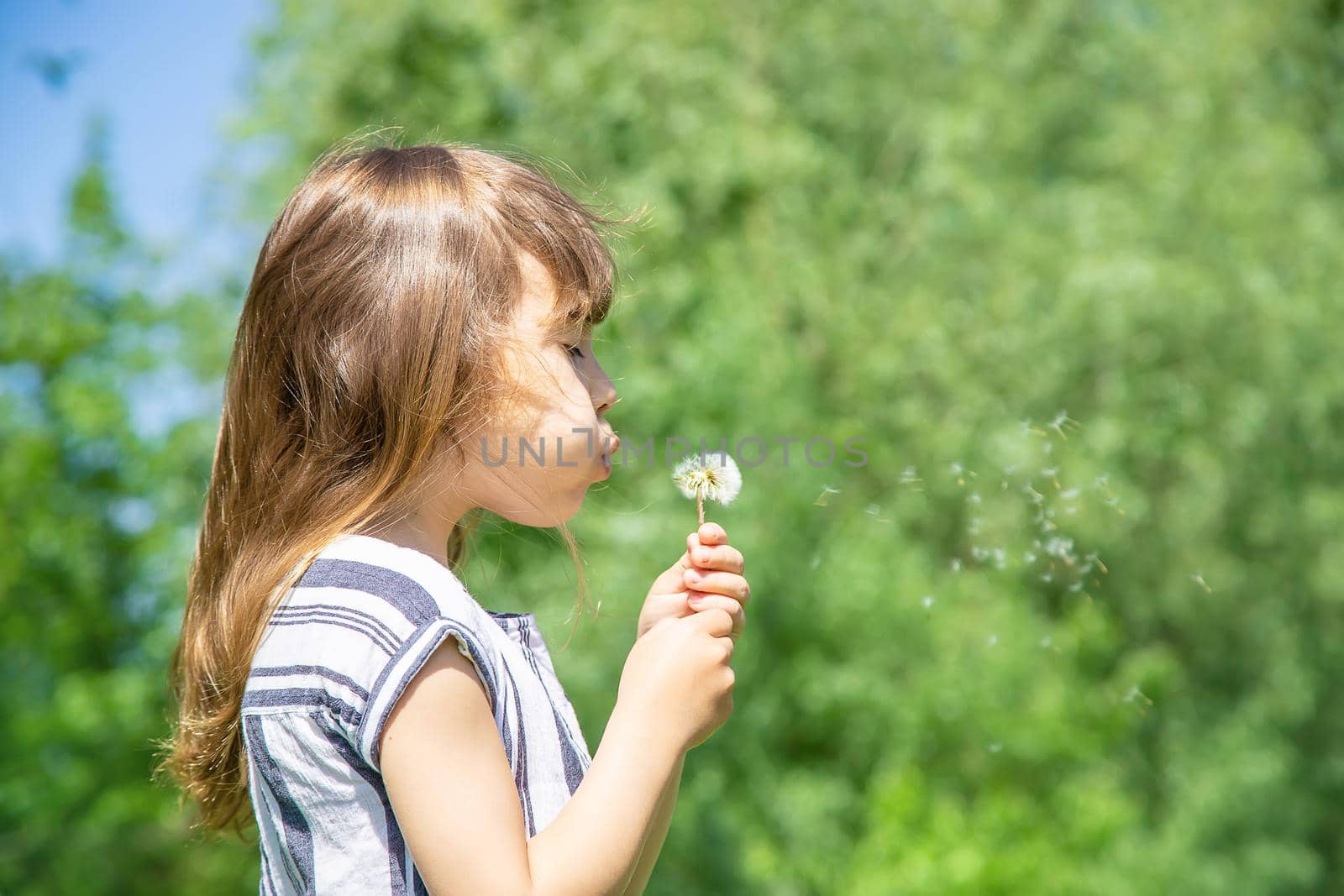 girl blowing dandelions in the air. selective focus. by yanadjana