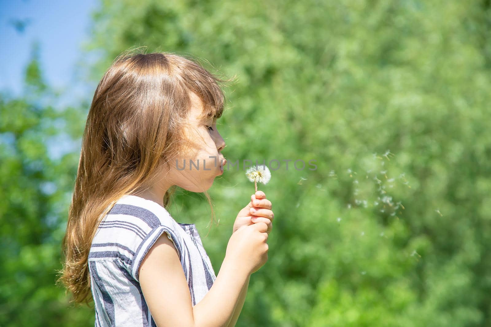 girl blowing dandelions in the air. selective focus.