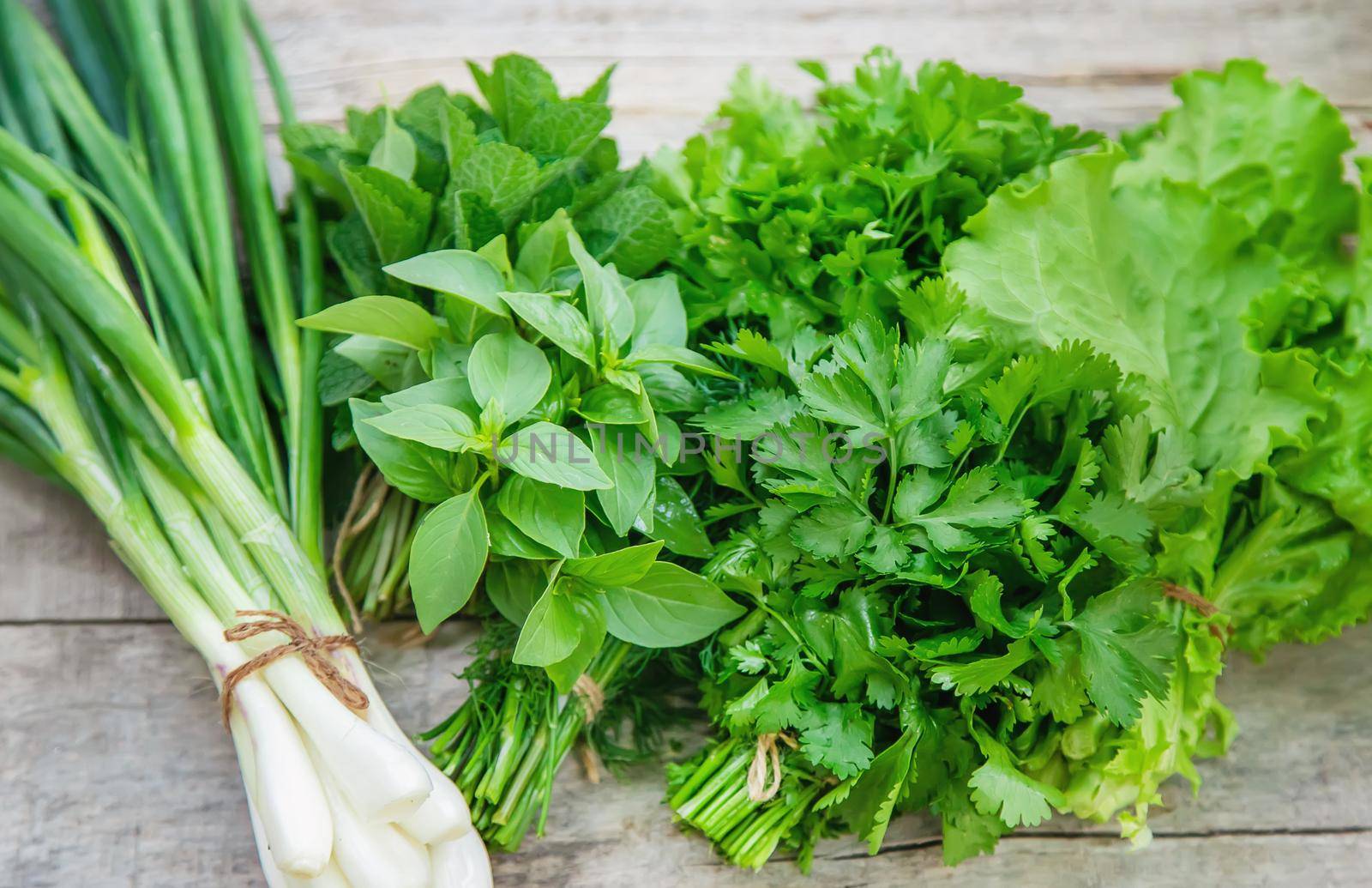 Fresh homemade greens from the garden. Selective focus. nature.