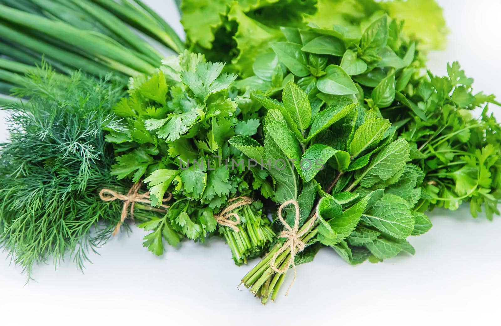 Fresh homemade greens from the garden. Isolate Selective focus. nature.