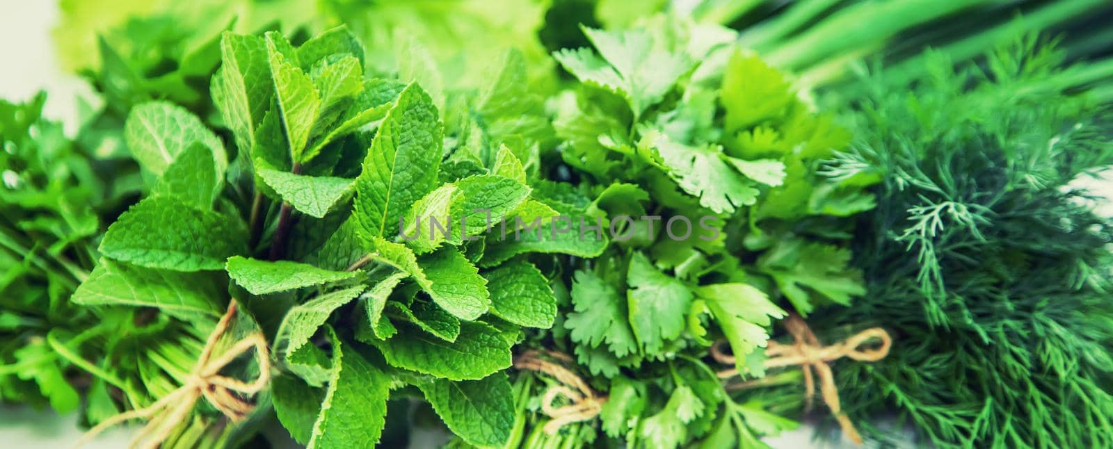 Fresh homemade greens from the garden. Isolate Selective focus. by yanadjana