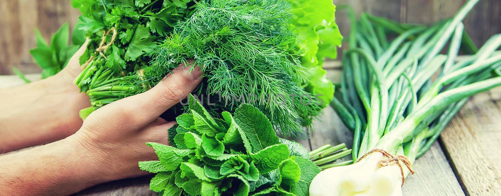 Fresh homemade greens from the garden. Selective focus. nature.