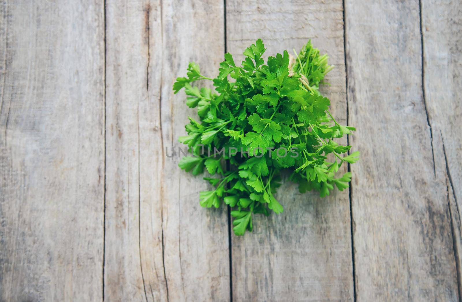 Fresh homemade greens from the garden. Selective focus. nature.