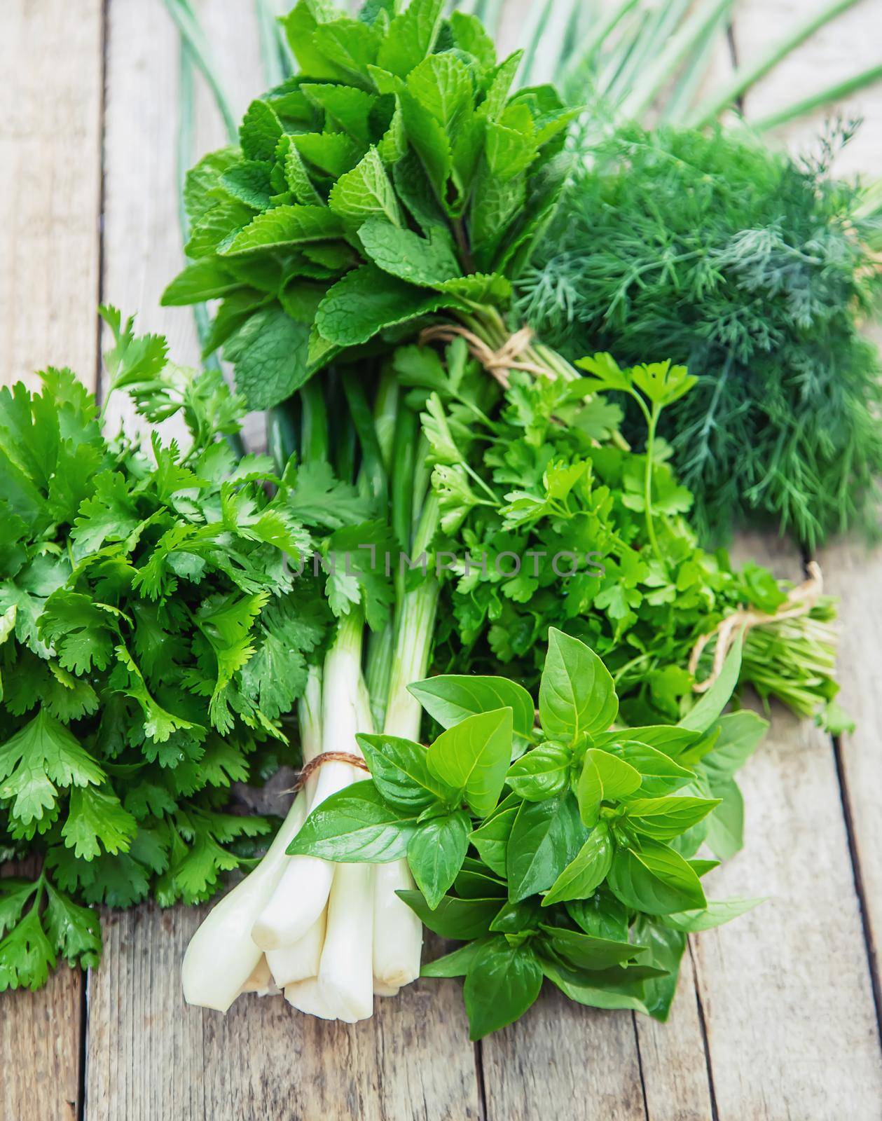 Fresh homemade greens from the garden. Selective focus. nature.