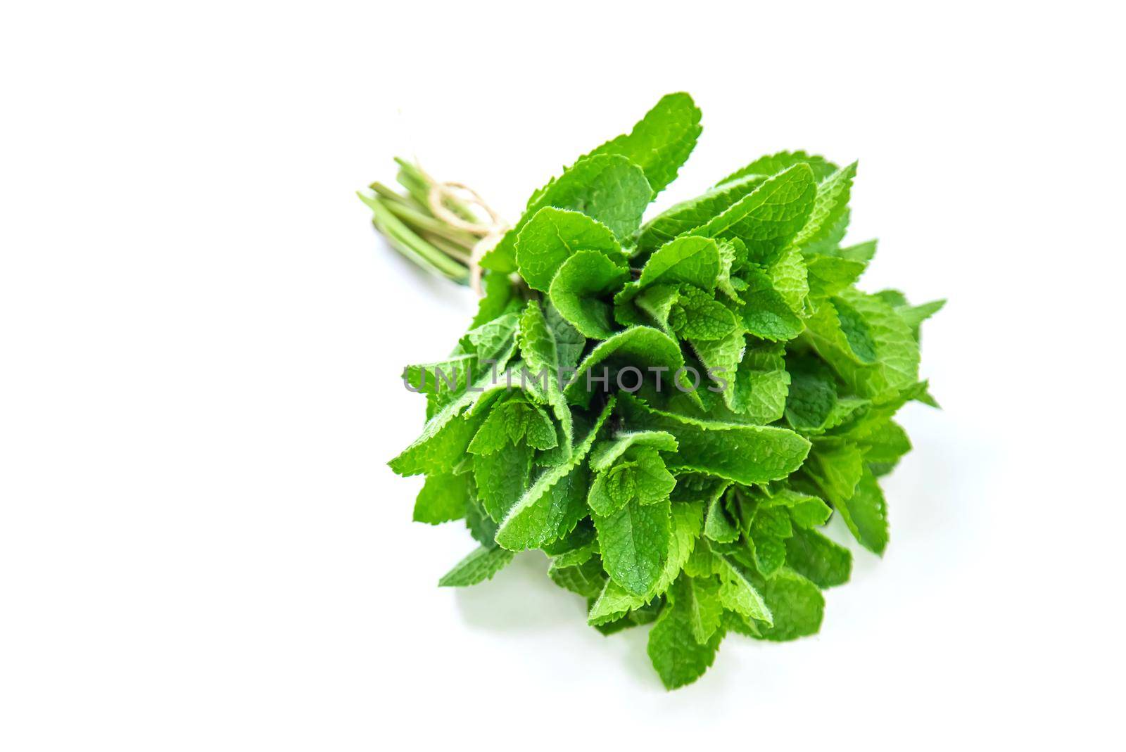 Fresh homemade greens from the garden. Isolate Selective focus. nature.