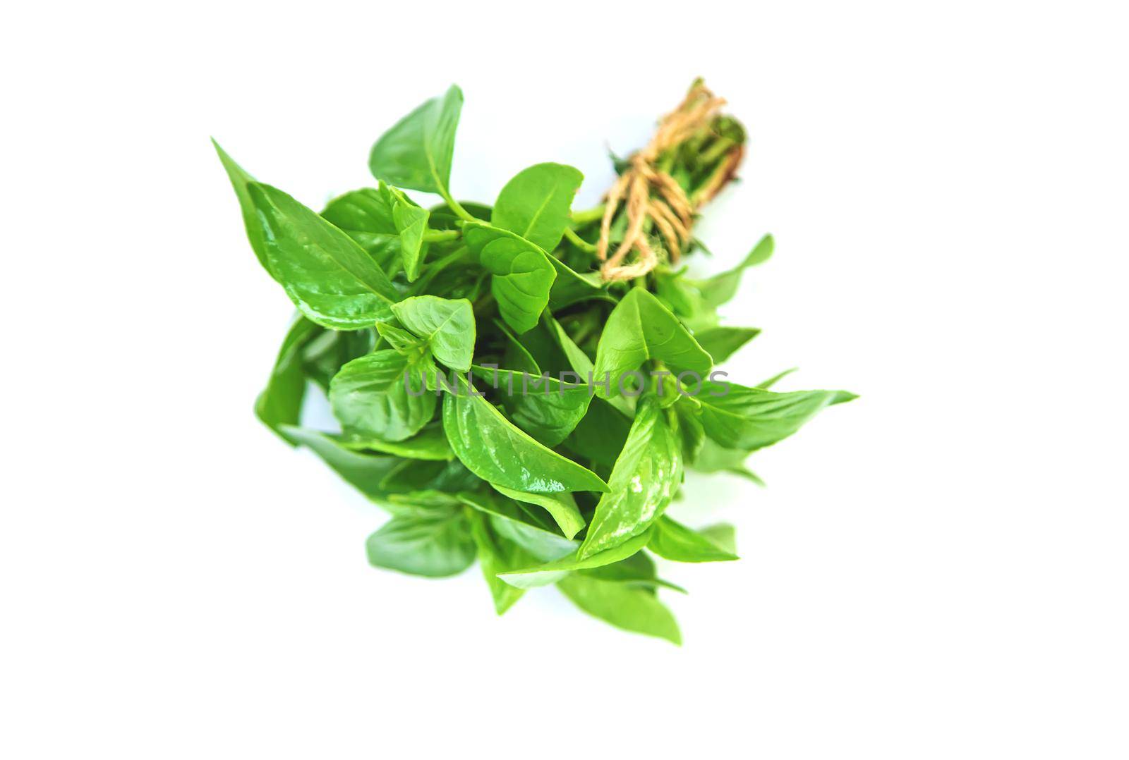 Fresh homemade greens from the garden. Isolate Selective focus. nature.