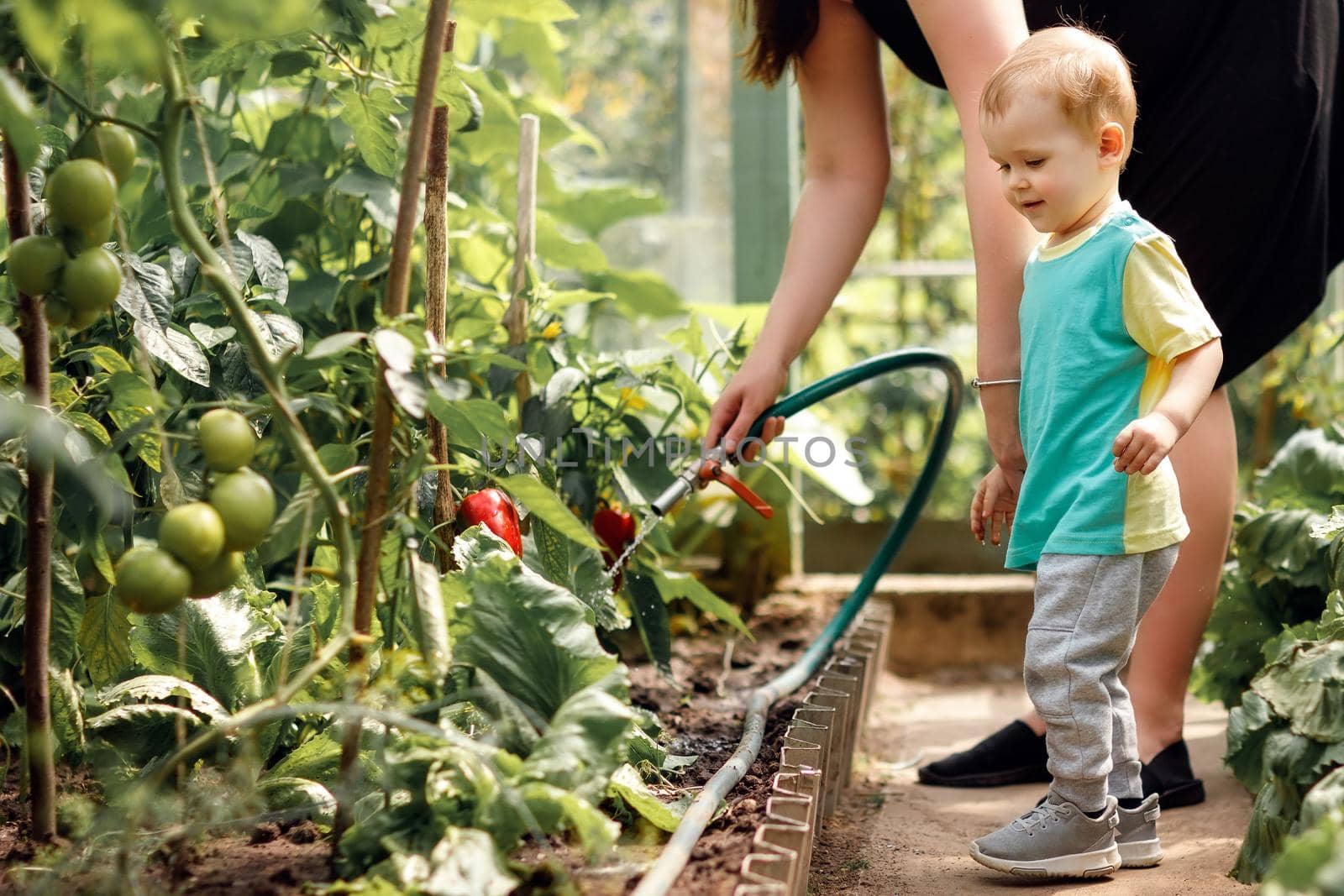Woman shows her little son how to water plants in a greenhouse.