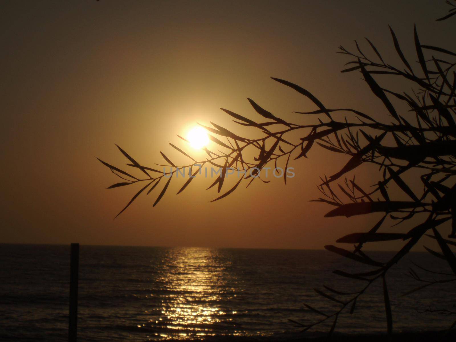 A beautiful sunset on the sea