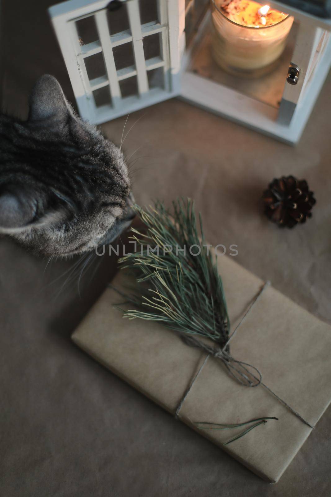 funny cat and a christmas gift in craft paper, candle, pine twig and cones top view, flatlay