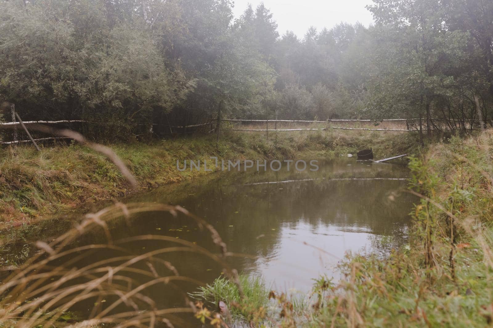 scenic image of picturesque rural nature