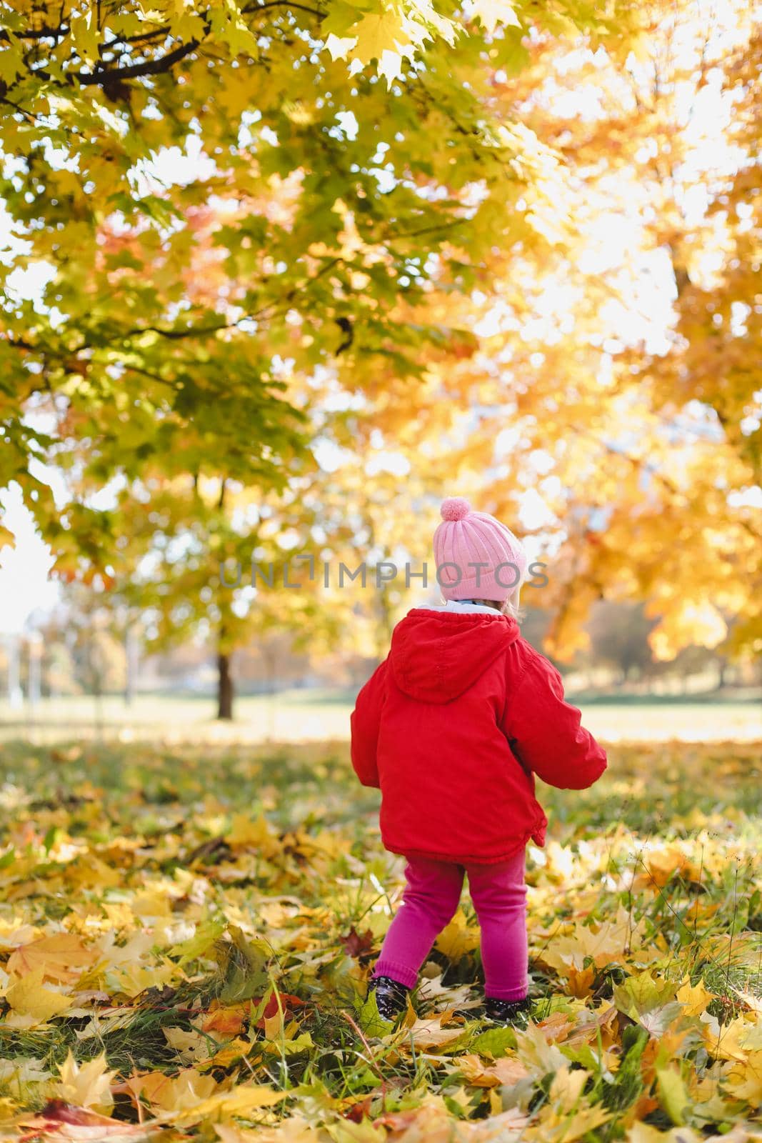 little girl walking in the autumn park.