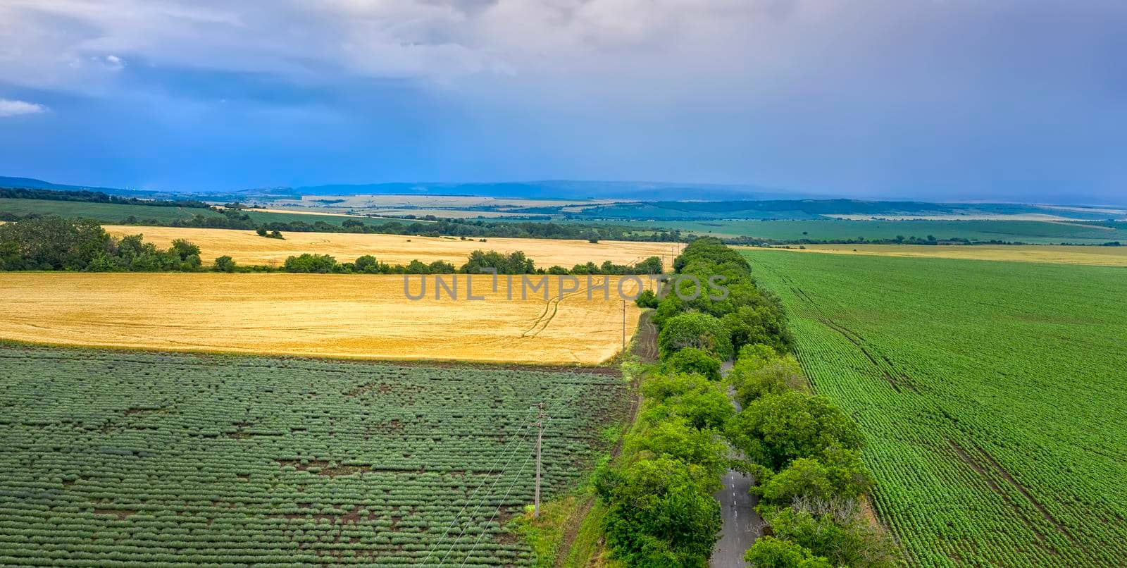 Aerial view from drone of beautiful green countryside, fields, road with trees, and cloudy sky