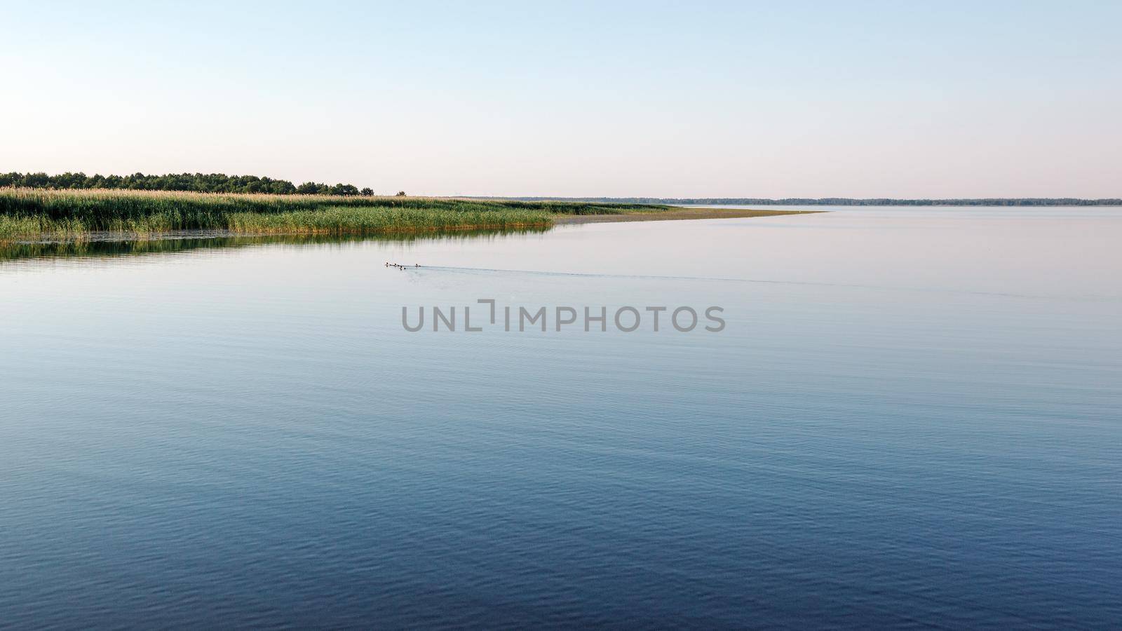 Calm water of the lagoon and a small swarm of ducks in the distance