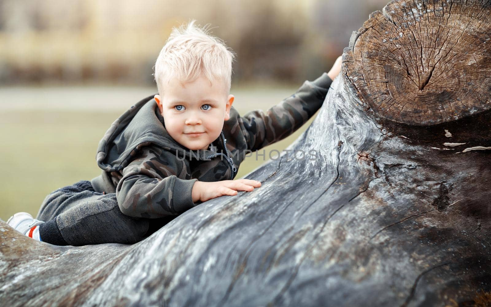 Portrait of toddler boy behind big branch by Lincikas