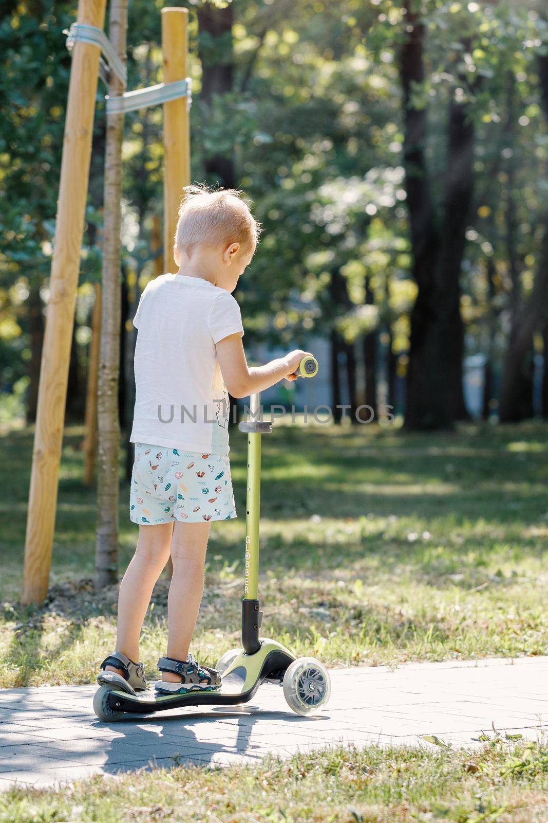 Kid with riding scooter in summer park. by Lincikas