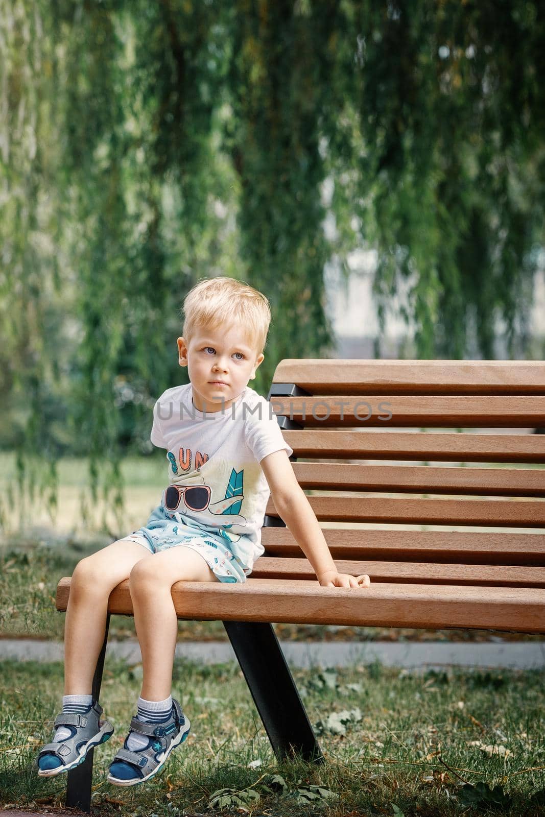 Child portrait sitting on a bench in park, white haired boy 3 years old. Front view, vertical photo.