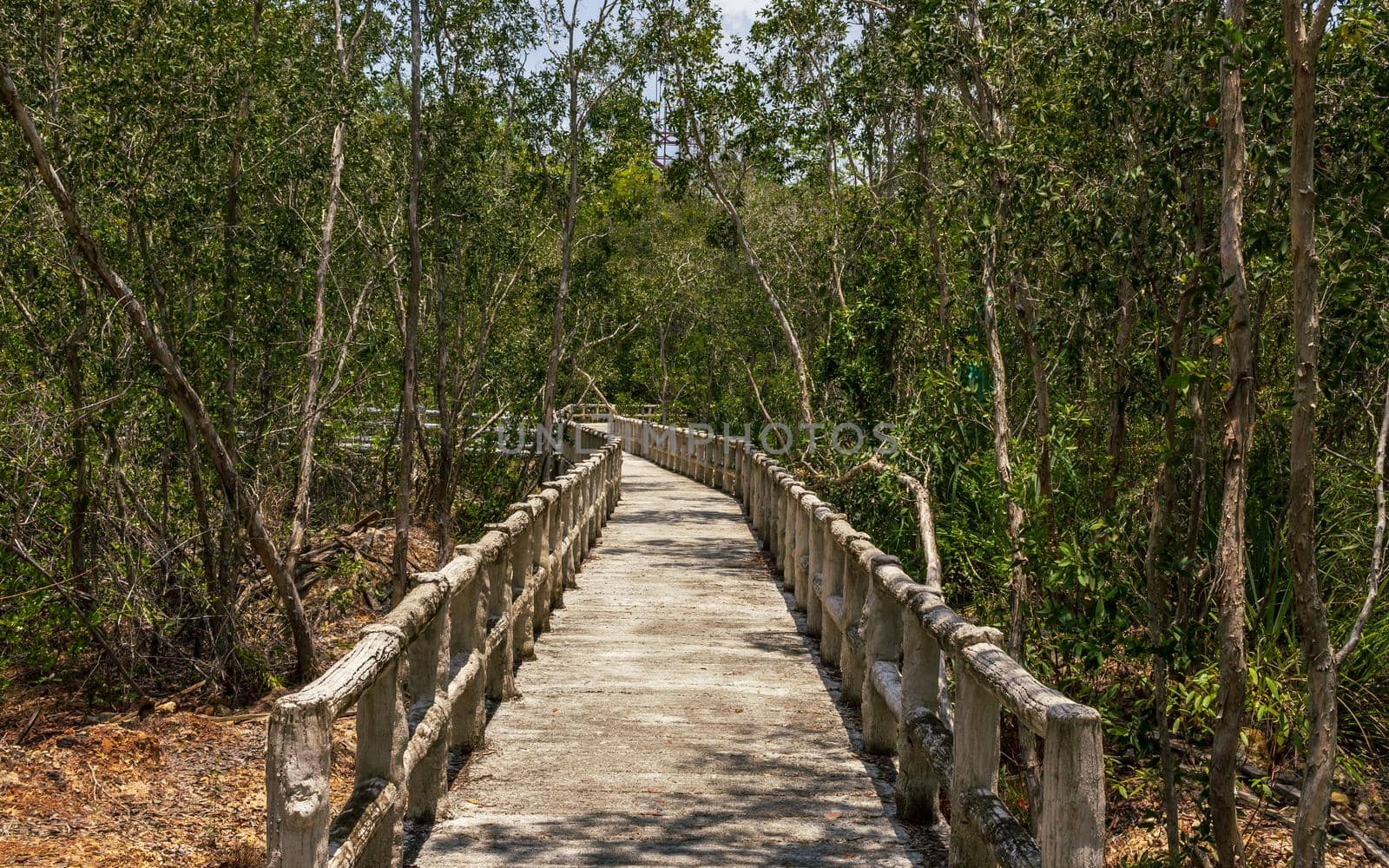 Thailand natural park, walking trail made of wood