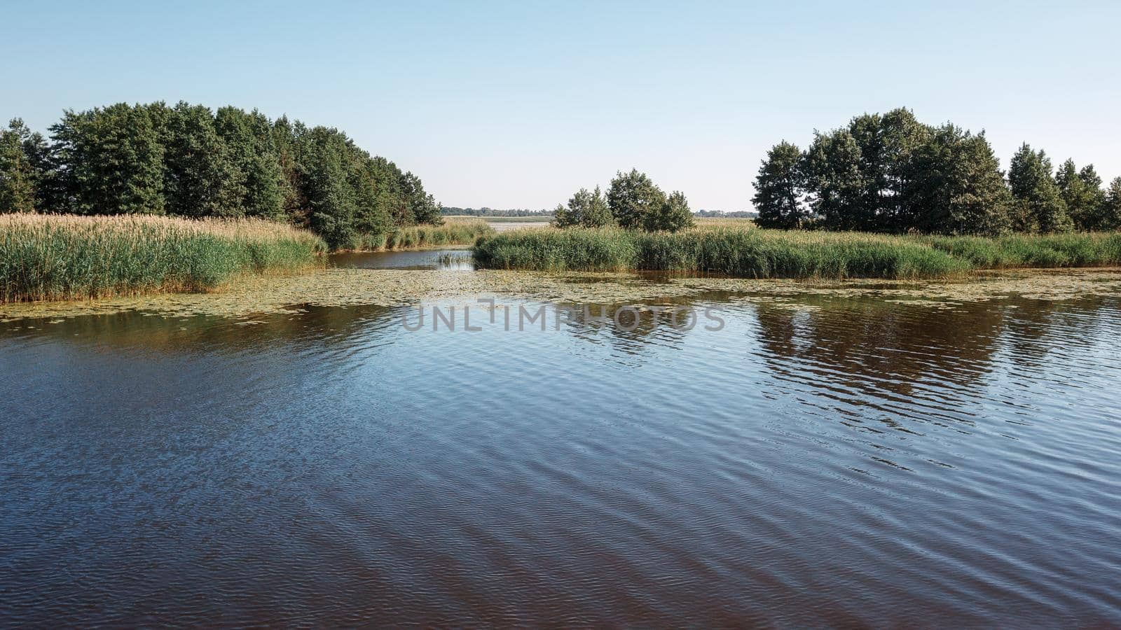 Vente Cape landscape is a headland in the Nemunas Delta in Lithuania. by Lincikas