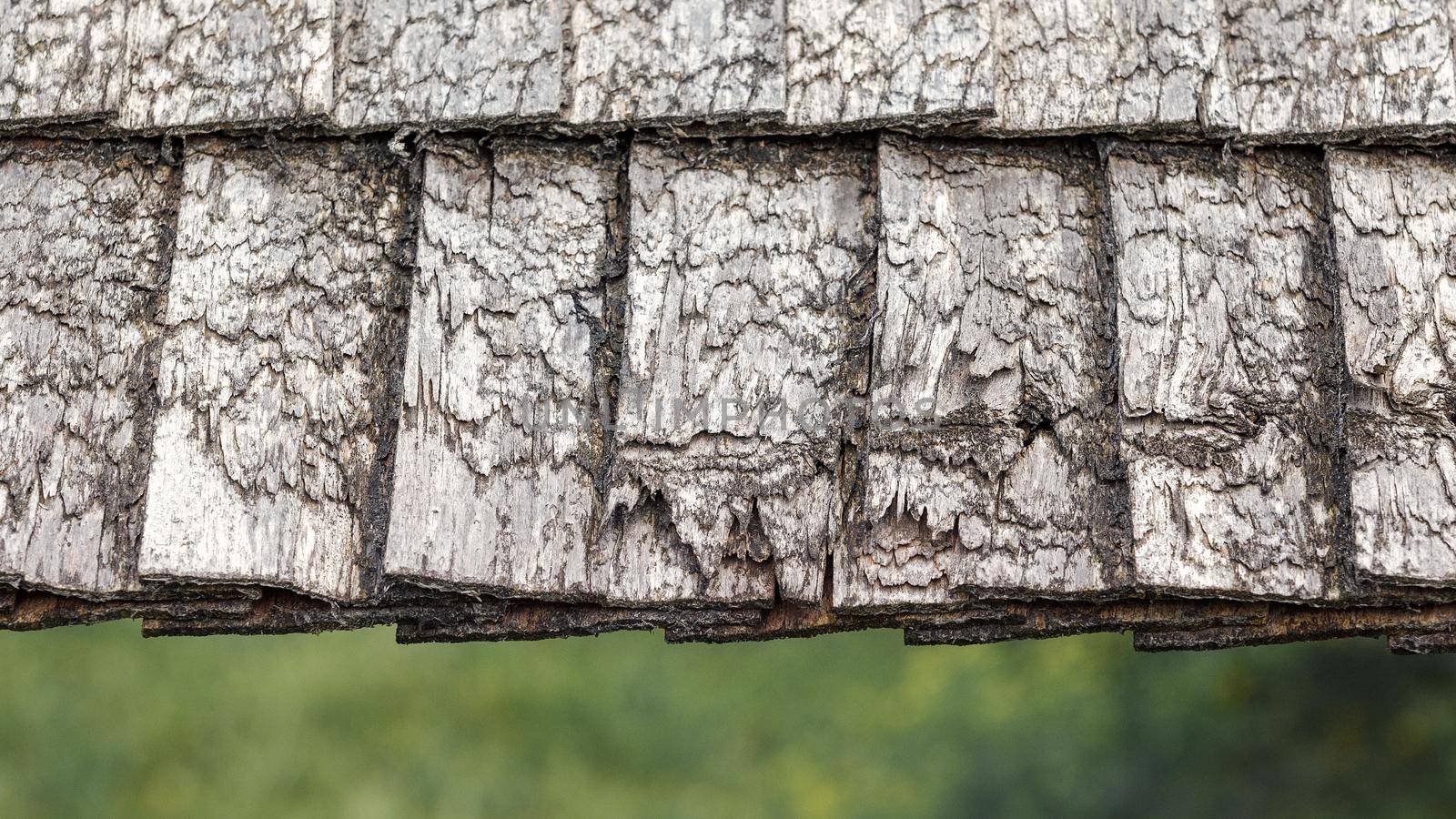 Real photo of wooden shingles on the roof. by Lincikas