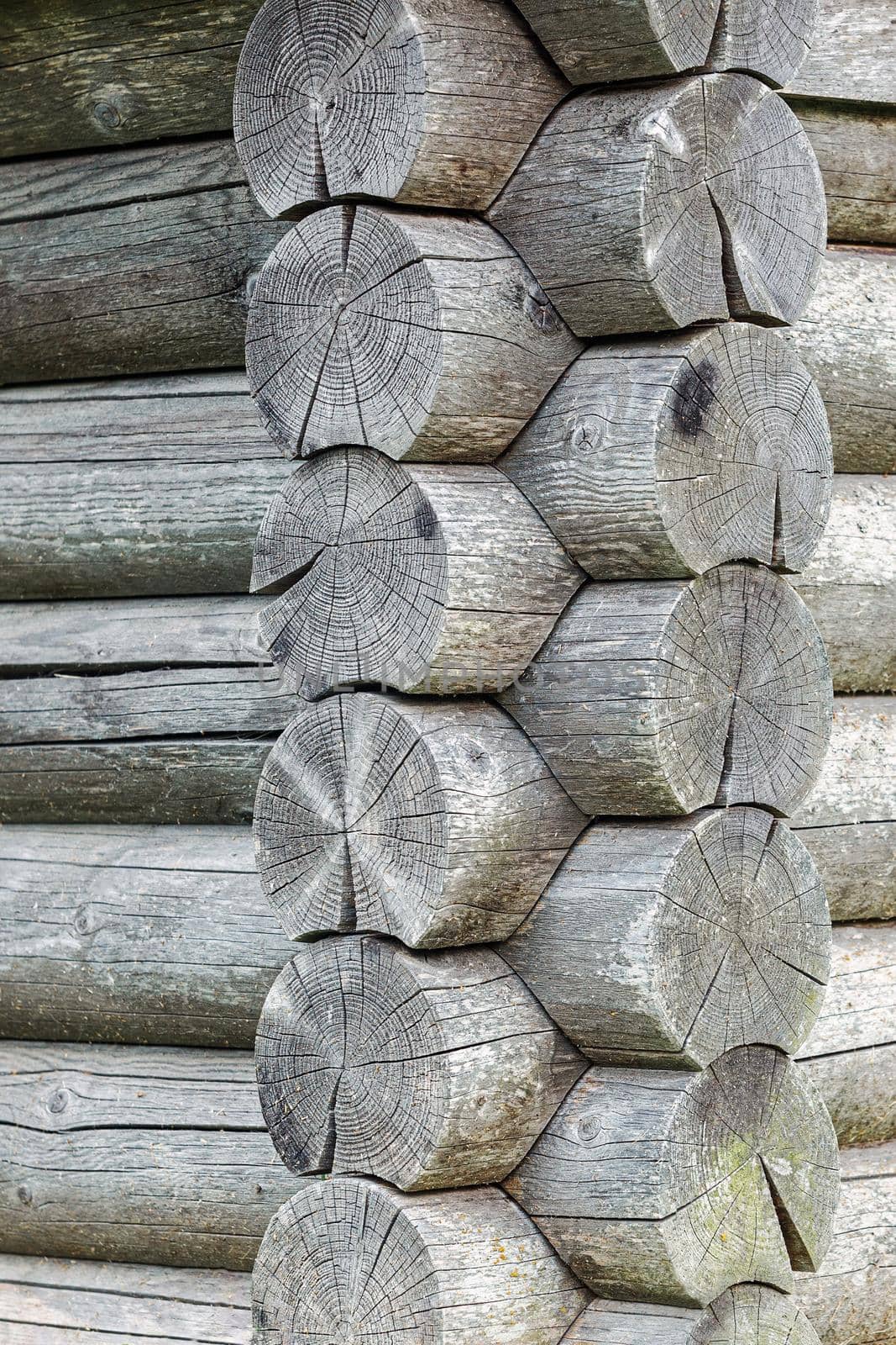 Old grey barn or farmhouse. With some shadows and beautiful aged timber by Lincikas