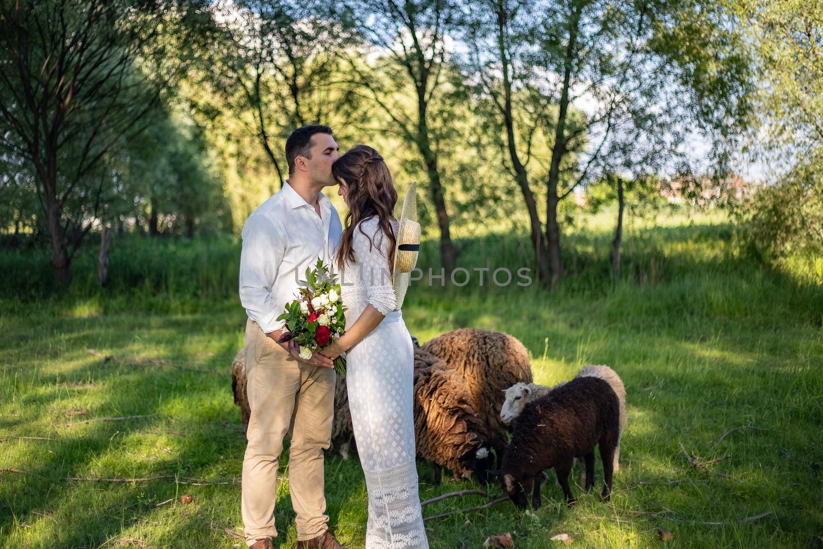 Happy young people in wedding attire are standing in the meadow and kissing, in the background are lambs in the meadow by Anyatachka
