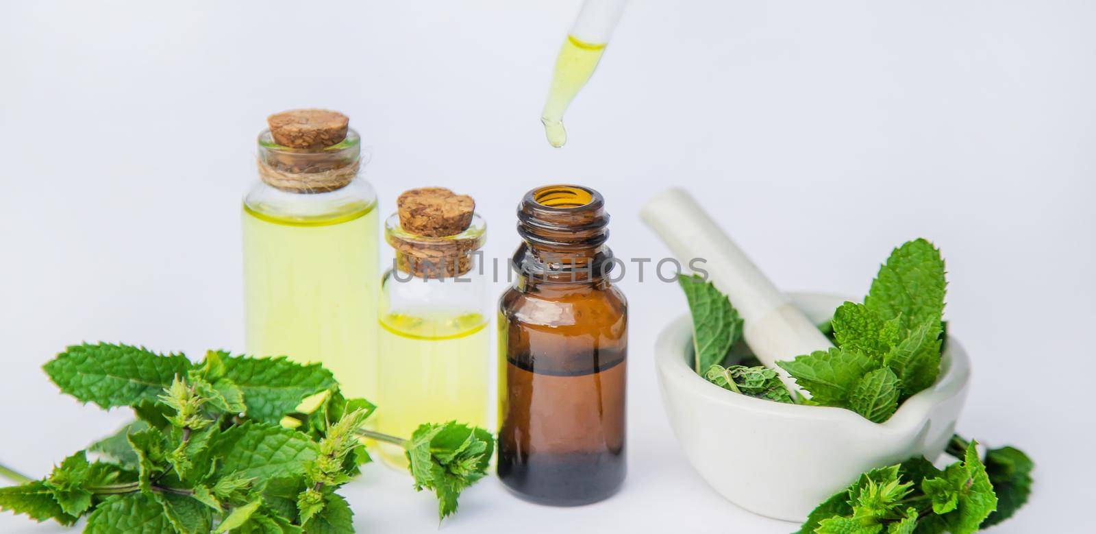 medicinal herbs. Selective focus. medicine and health. by yanadjana