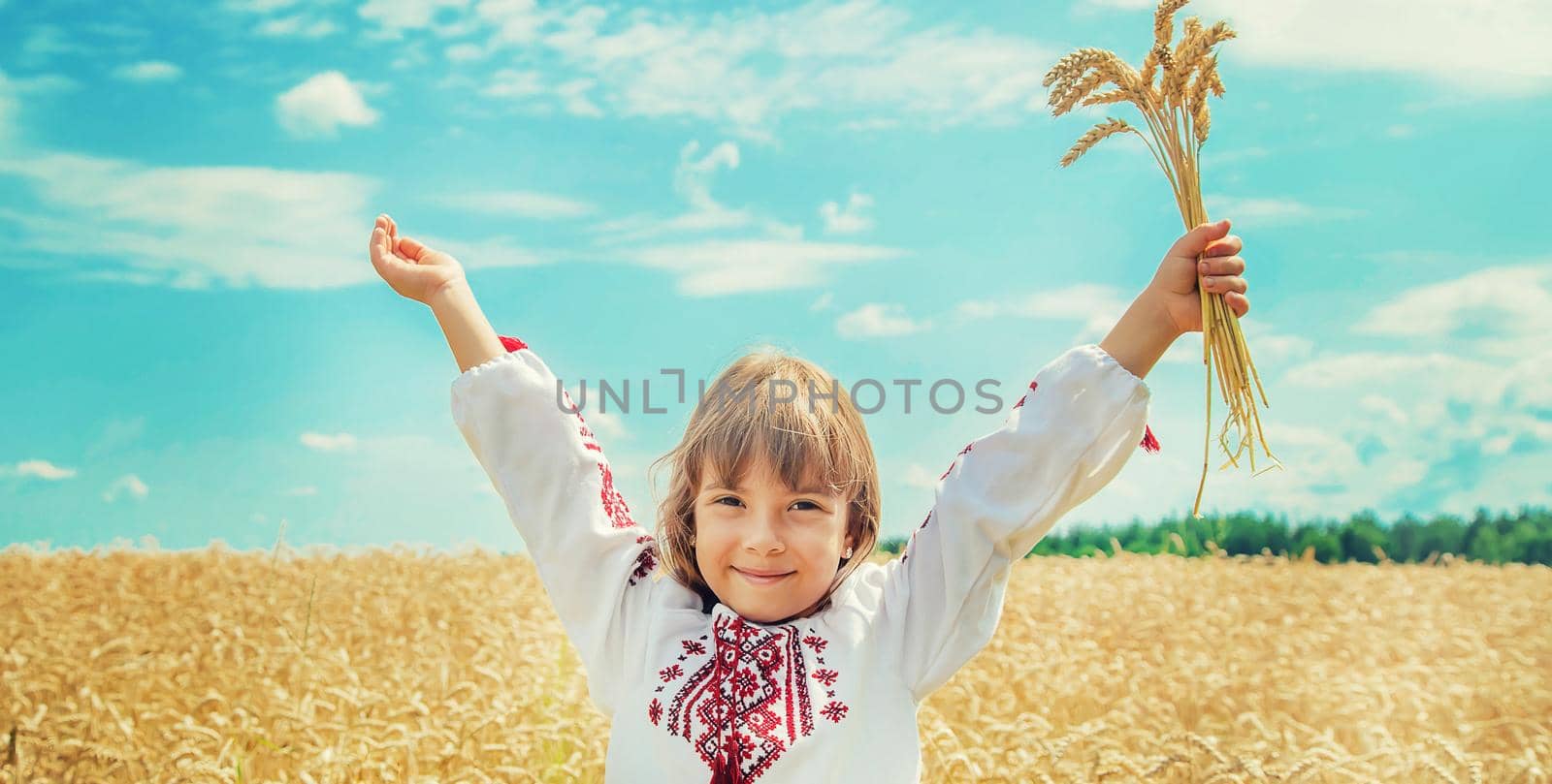 A child in a field of wheat in an embroidered shirt. Ukrainian. Selective focus. by yanadjana