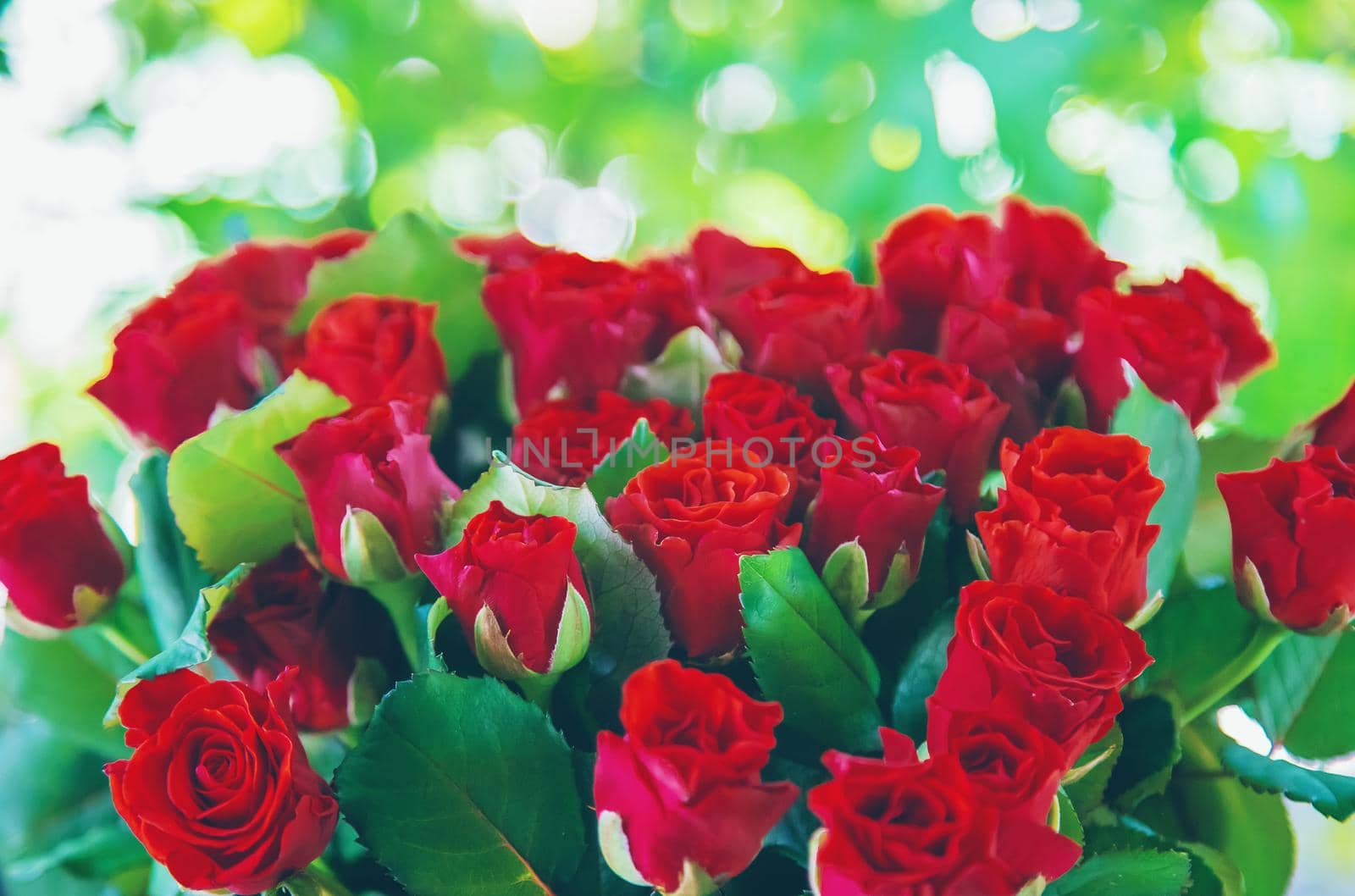 Bouquet of red roses, a gift for Valentine's Day. Selective focus. Holiday.