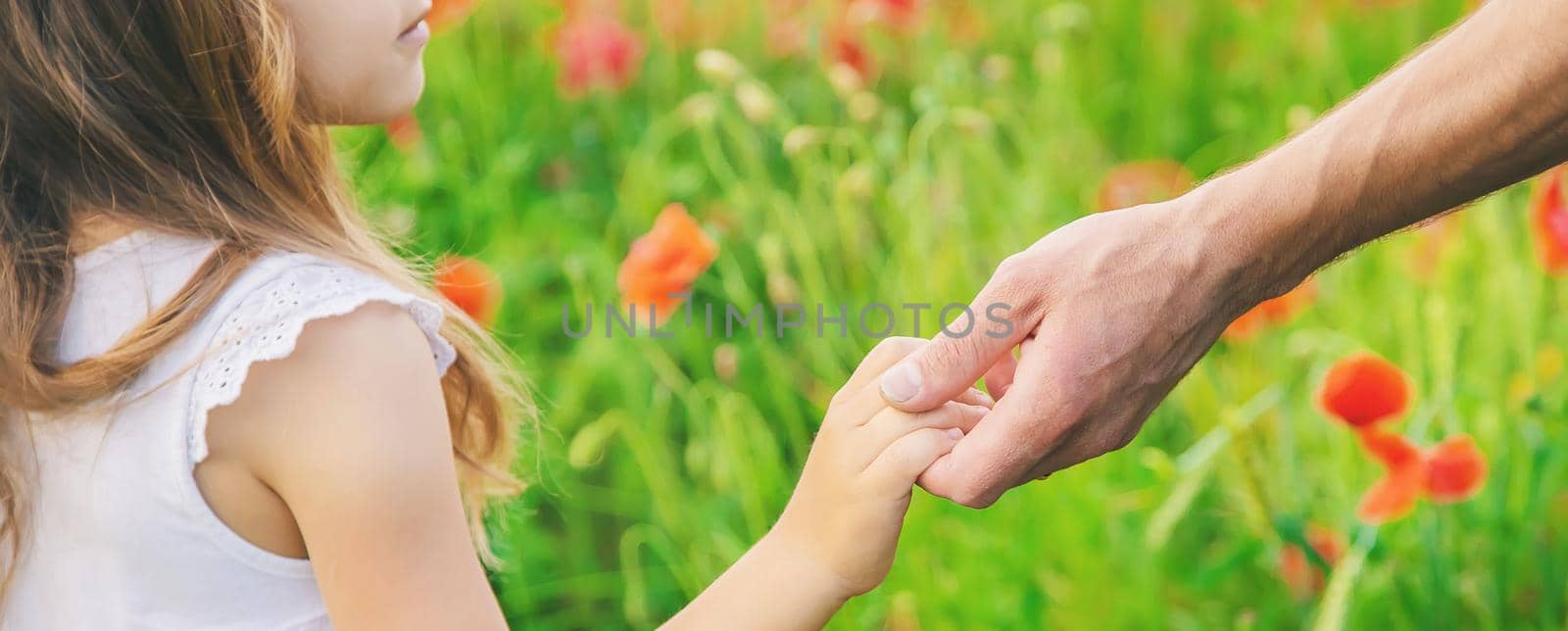 children girl in a field with poppies. selective focus.