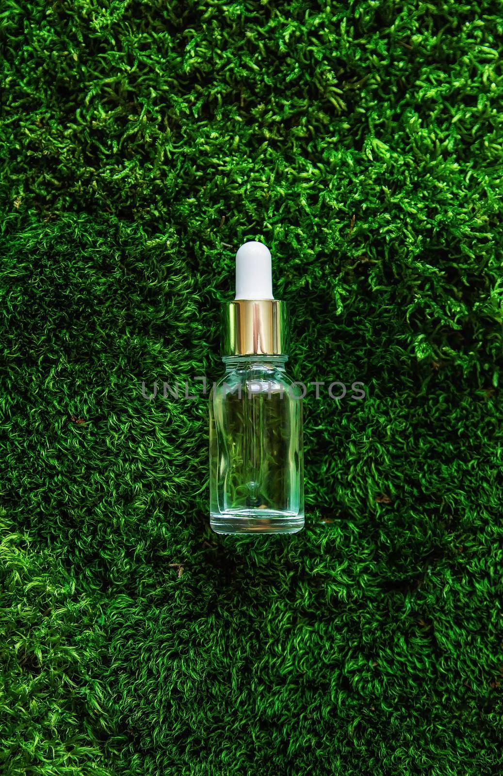 Cosmetics in a bottle and essential oils on moss. Natural spa. Selective focus. Nature.