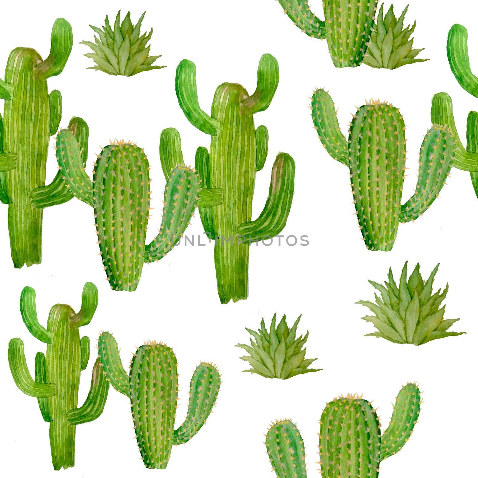 Watercolor hand drawn seamless pattern of tropical mexican cactus cacti succulents. Green natural house plants in pots botanical illsutration print interior design decoration for wallpaper textile. by Lagmar
