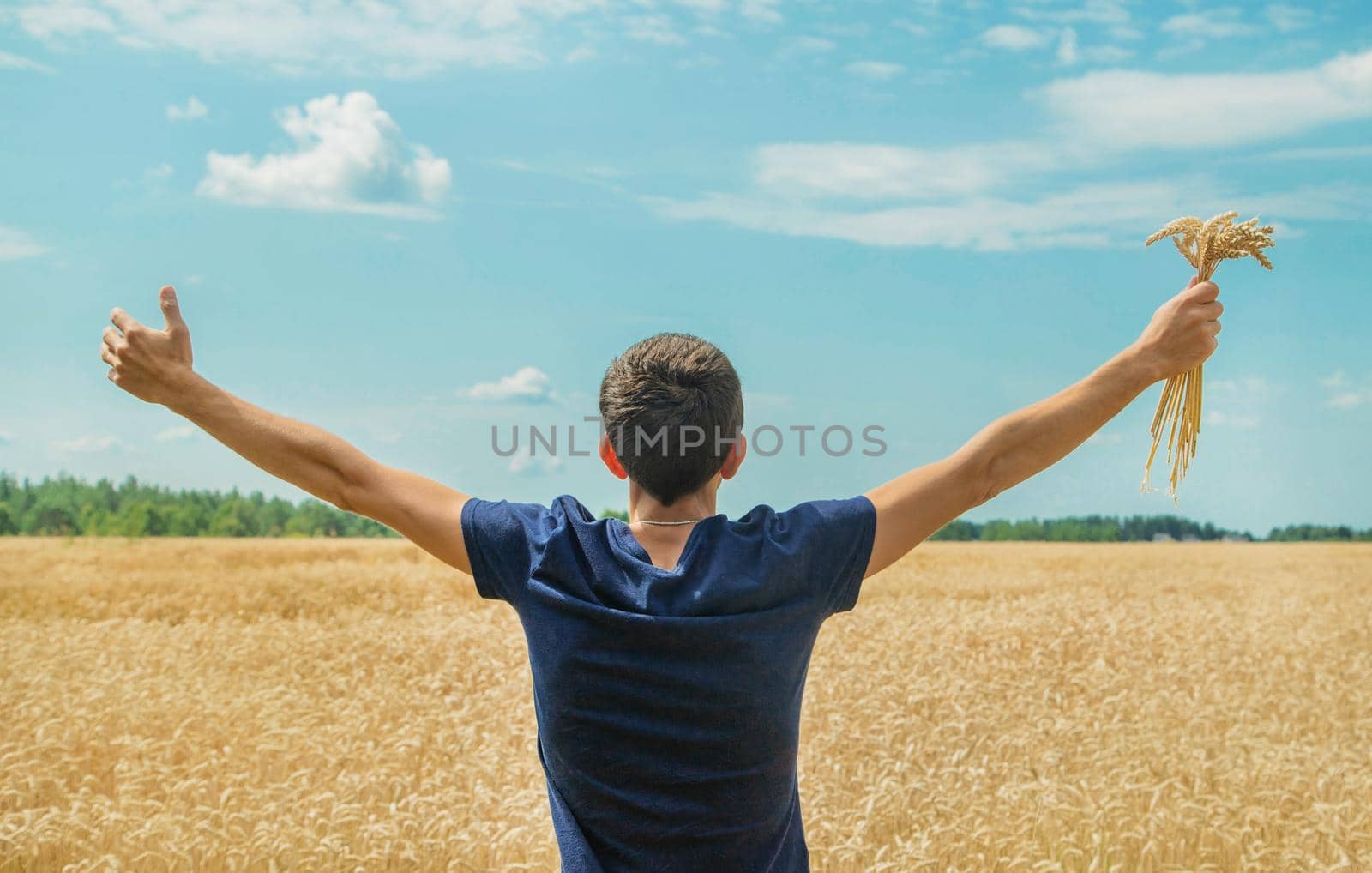 A man with spikelets of wheat in his hands. Selective focus. nature.