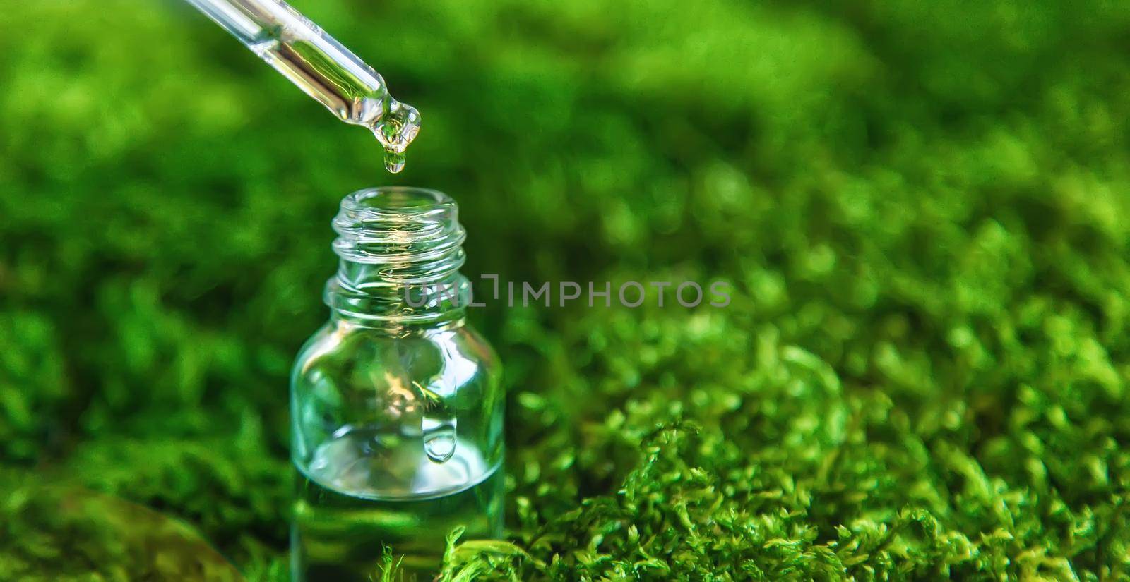 Cosmetics in a bottle and essential oils on moss. Natural spa. Selective focus. by yanadjana