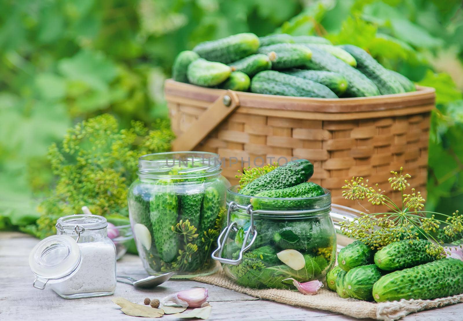 preservation of fresh house cucumbers. Selective focus. by yanadjana