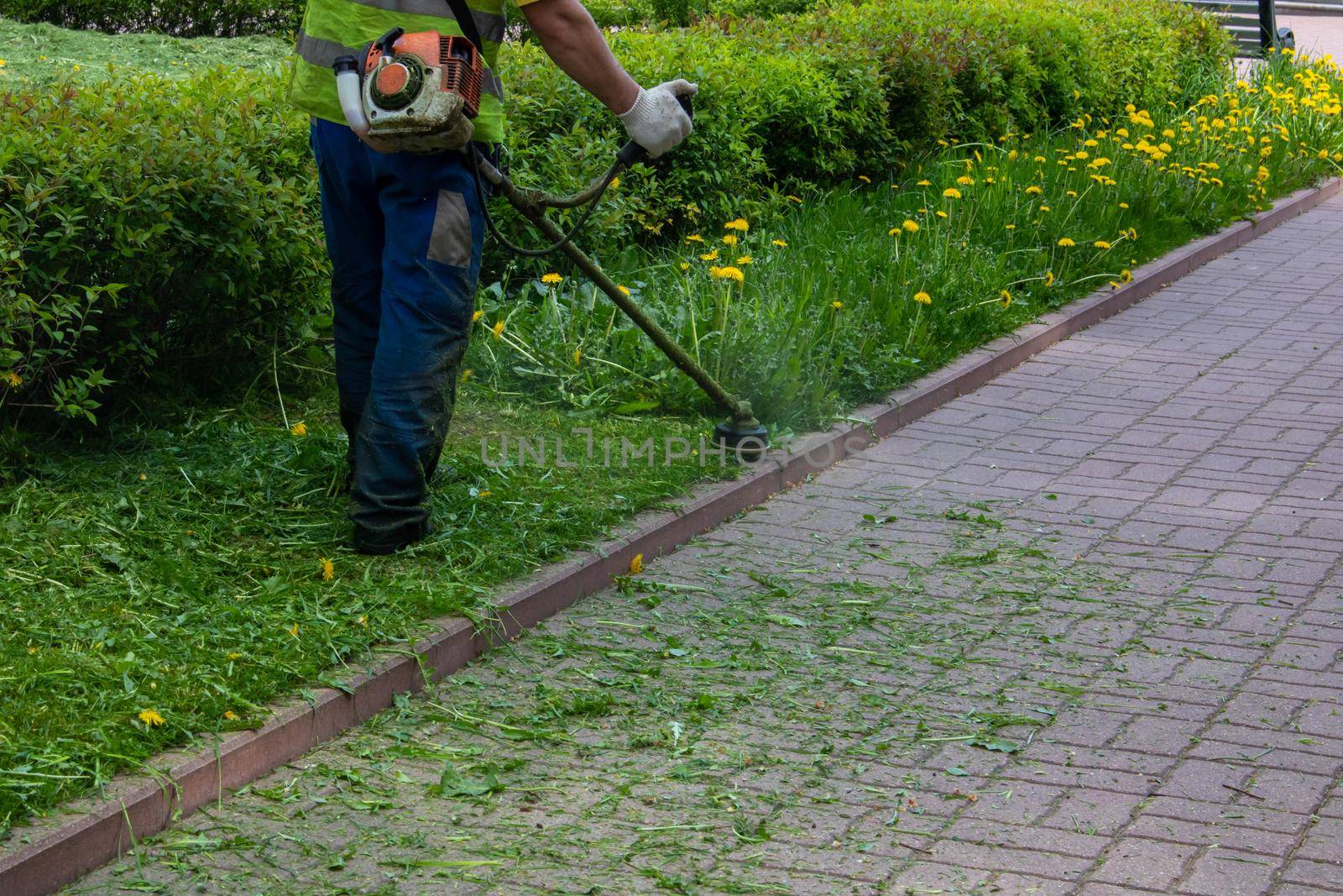 Man mows grass with a gasoline scythe