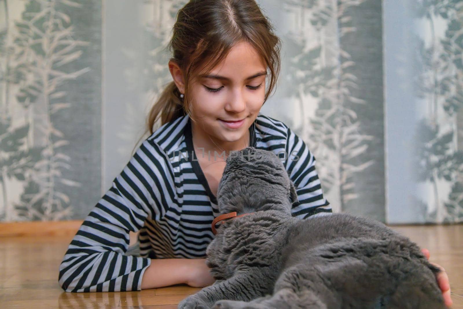 Child girl at home with a cat. Selective focus. Kid.