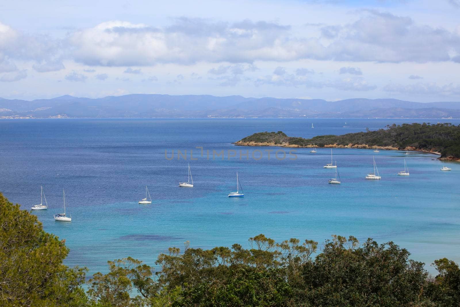 Photograph from the top of the Porquerolles Island coast with white sailboats, blue sea, green vegatation and blue sky