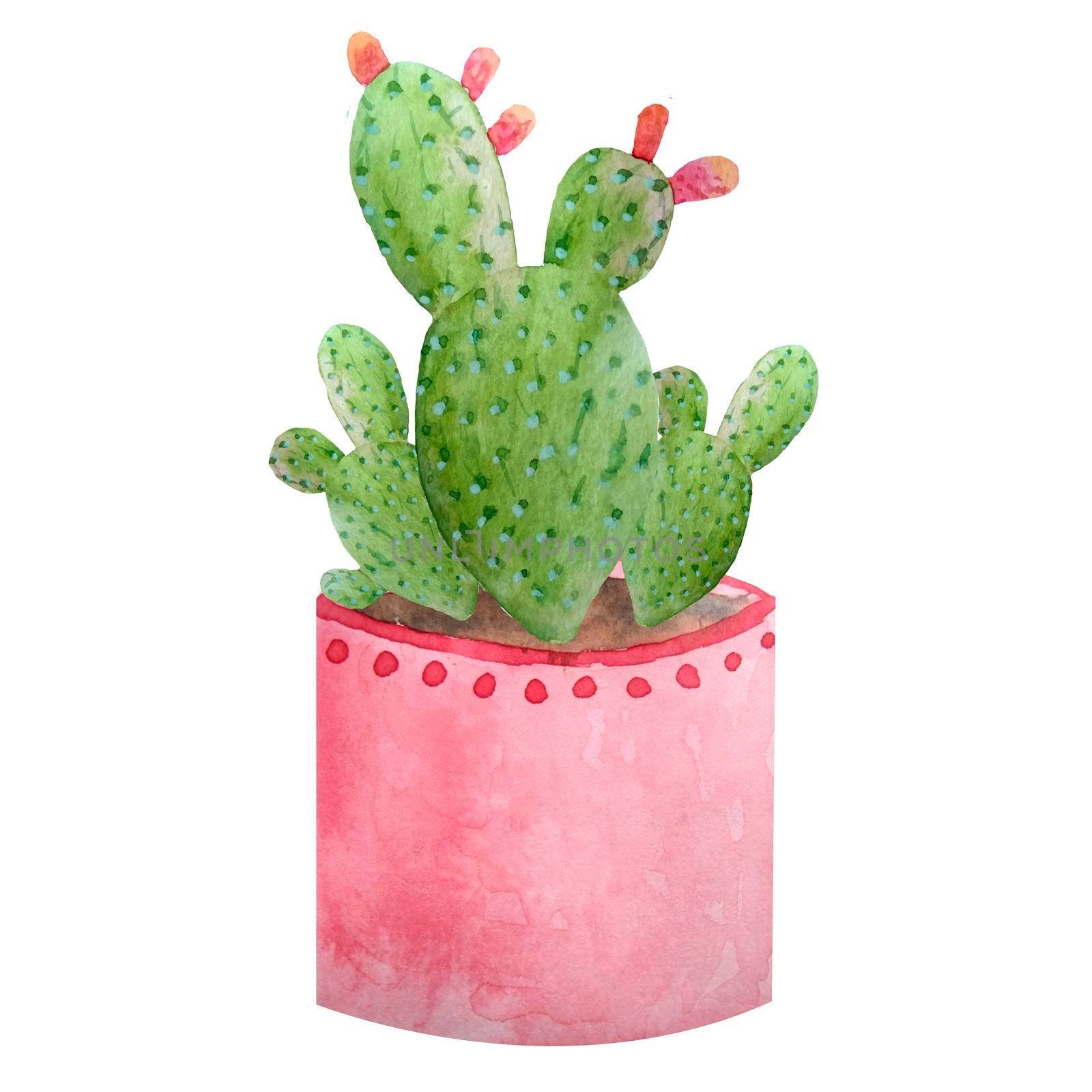Watercolor cactus cacti succulent in ceramic pot. Potted house green natural plants exotic tropical flowers. Interior decoration botanical illustration vibrant design print