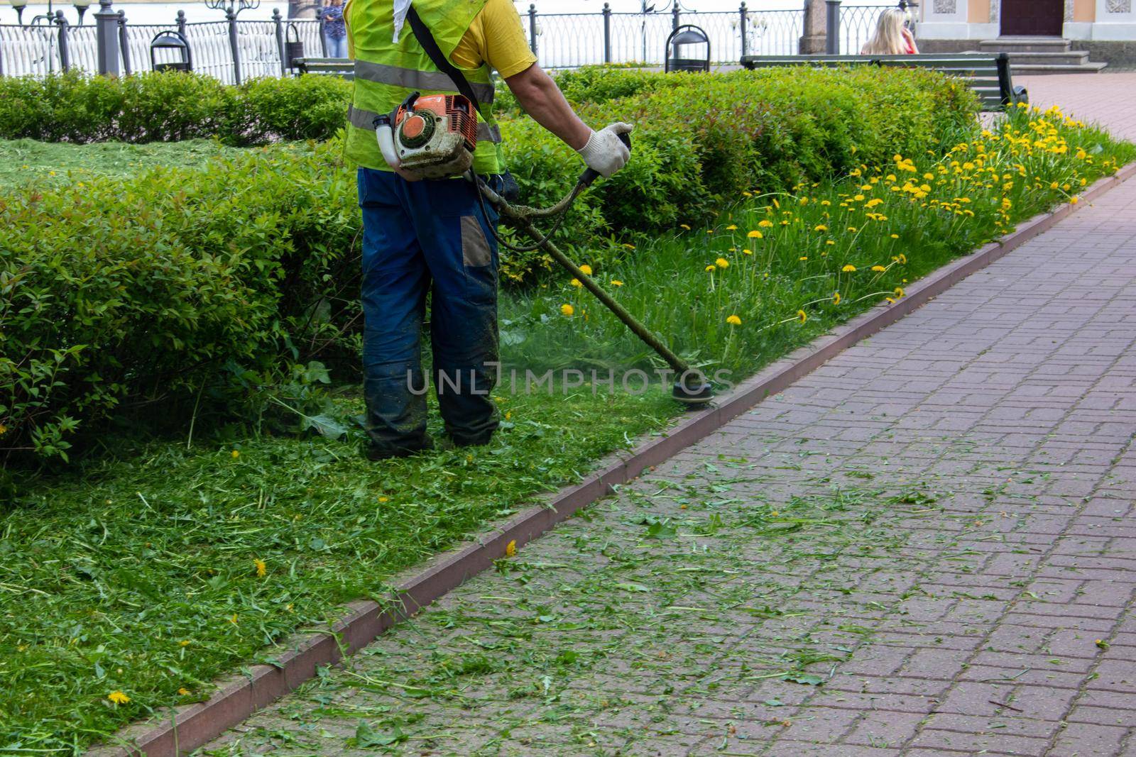 Man mows grass with a gasoline scythe by lapushka62