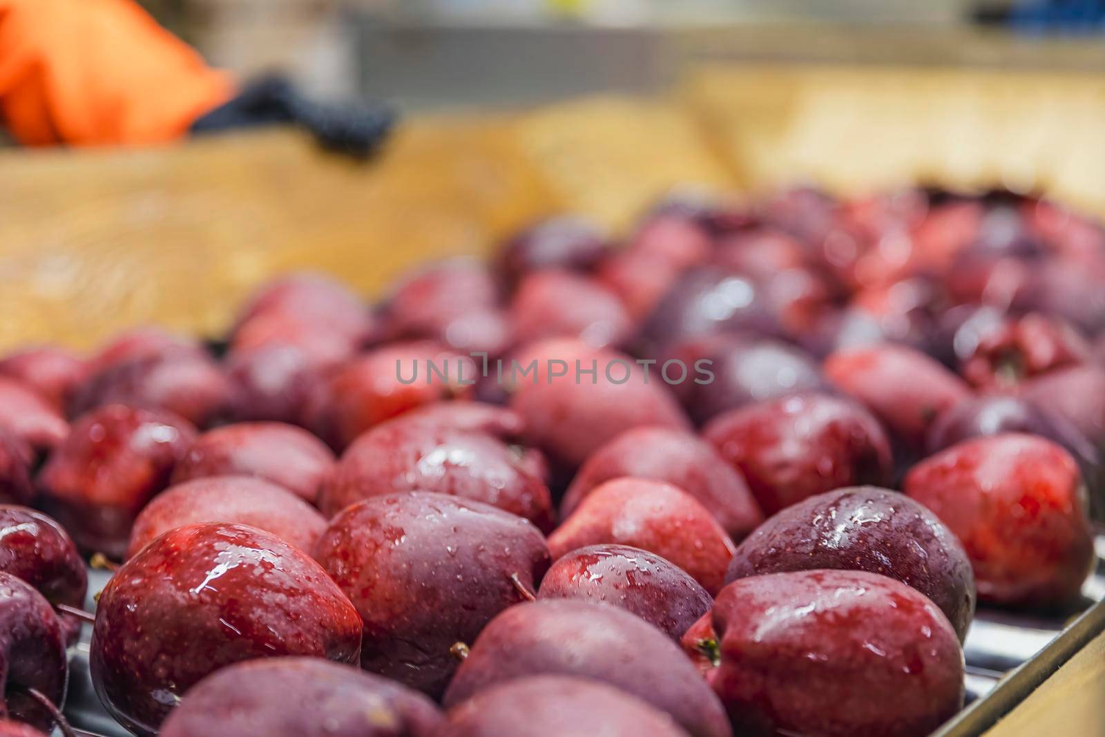 carrying apples for further sorting to the enterprise close-up