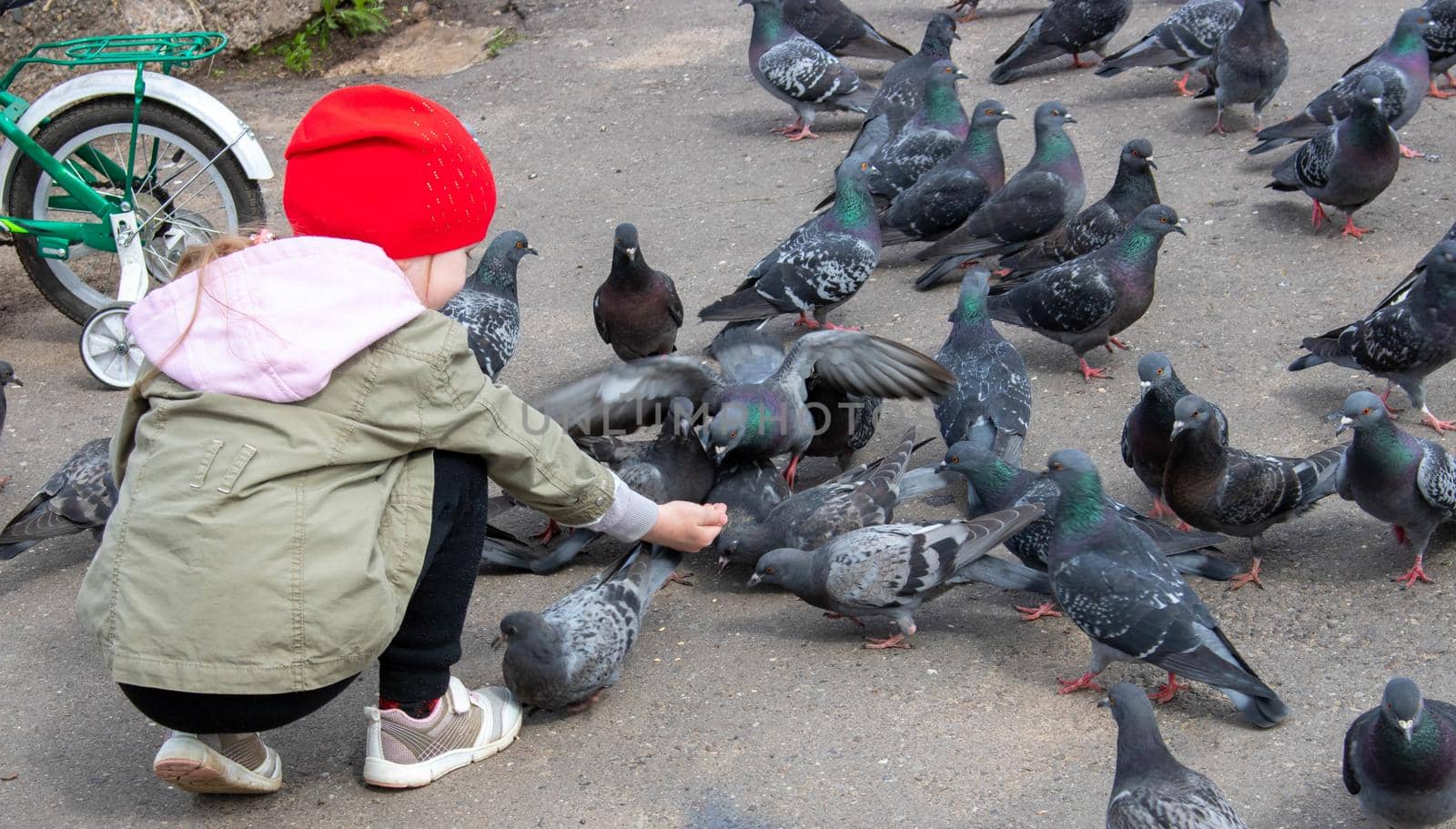 The girl turned to face the pigeons, squatted down, and began to feed them grain with her hand. by lapushka62