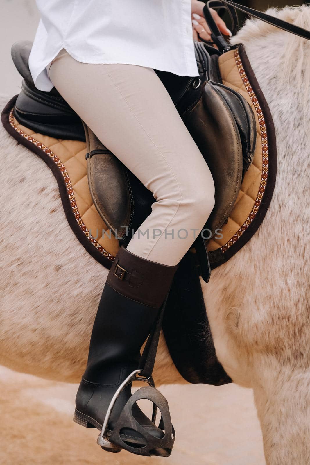 Close-up of a rider's legs in stirrups. A woman on a horse.
