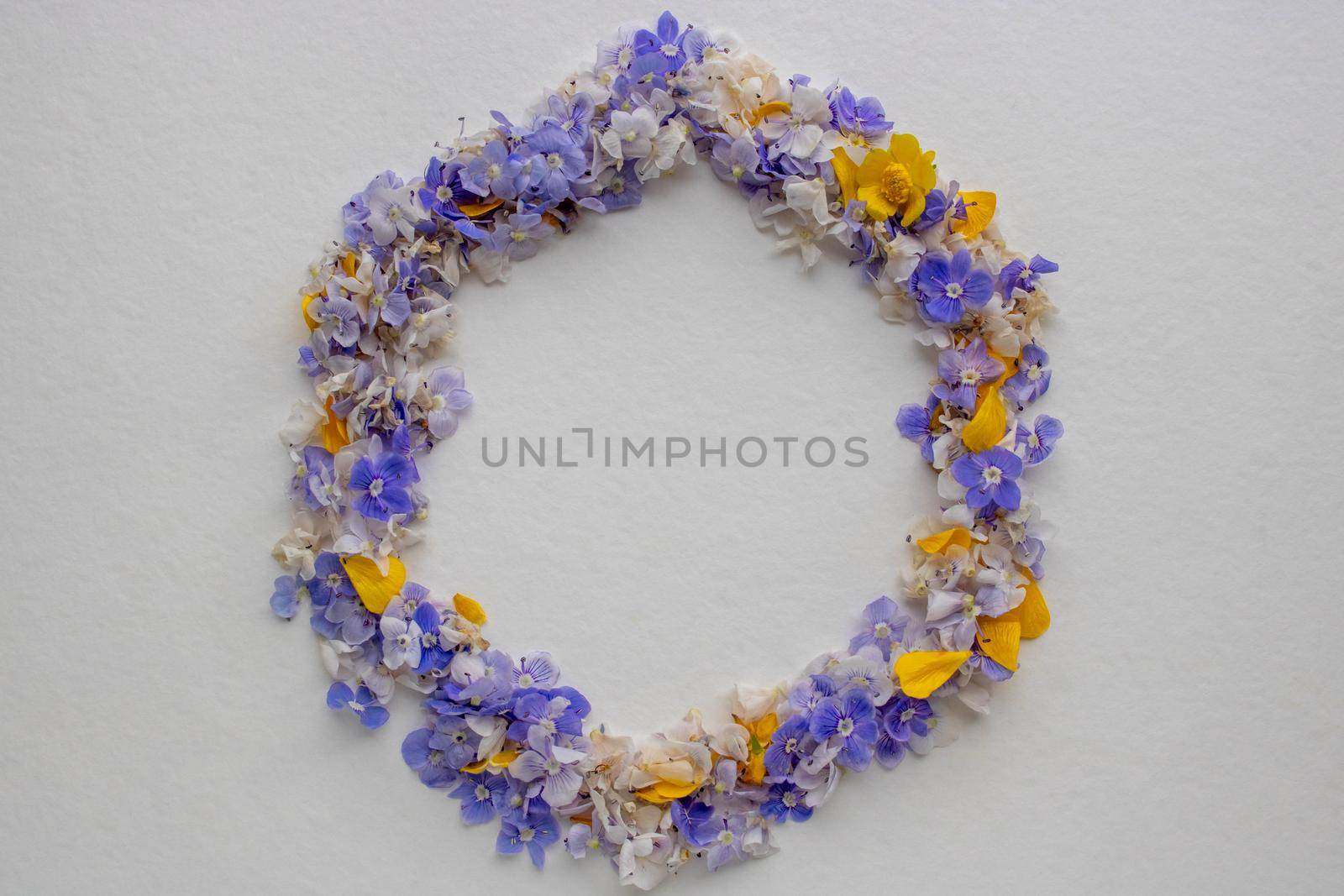 Frame of blue flowers and yellow petals on a white background. Postcard for the holiday. Nature