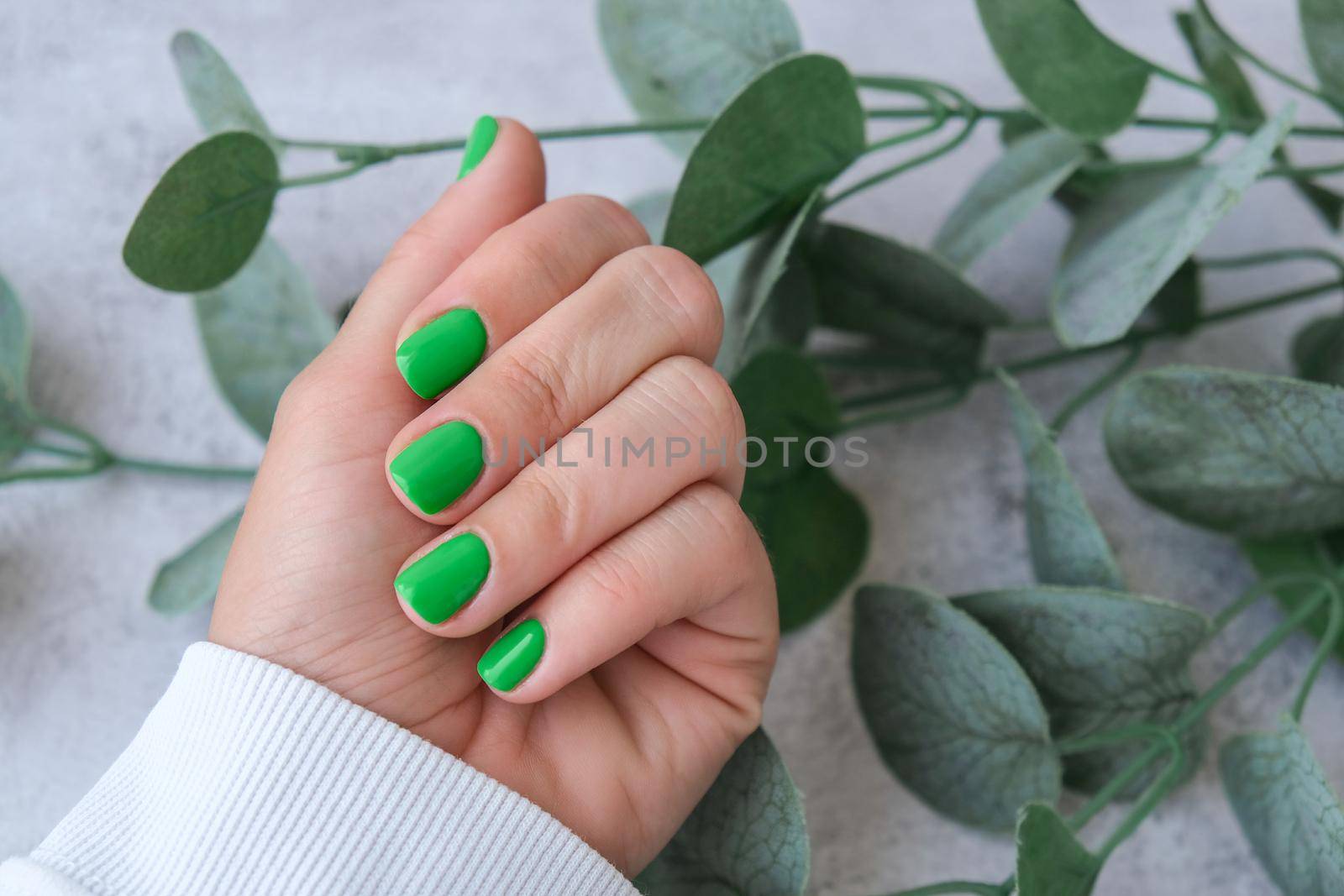 Manicured female hands with stylish green nails. Trendy modern design manicure. Gel nails. Skin care. Beauty treatment. Nail care. Trendy colors by anna_stasiia