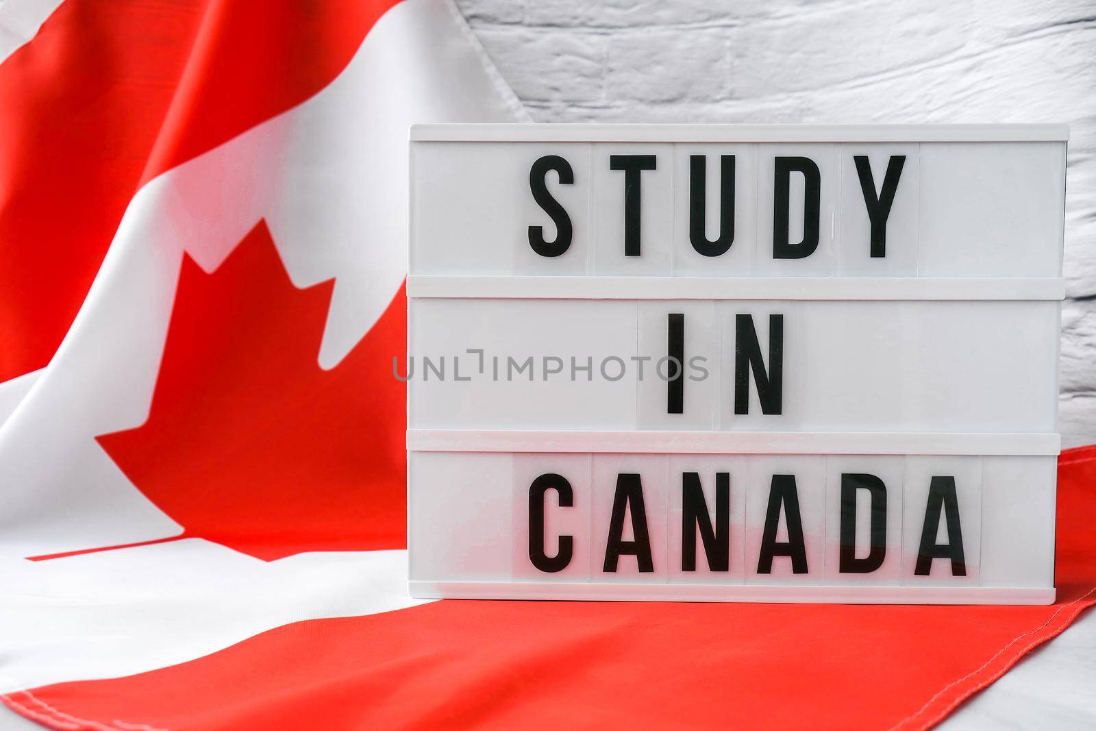 The National Flag of Canada. Lightbox with text STUDY IN CANADA Canadian Flag or the Maple Leaf. Patriotism. International relations concept. Independence day by anna_stasiia